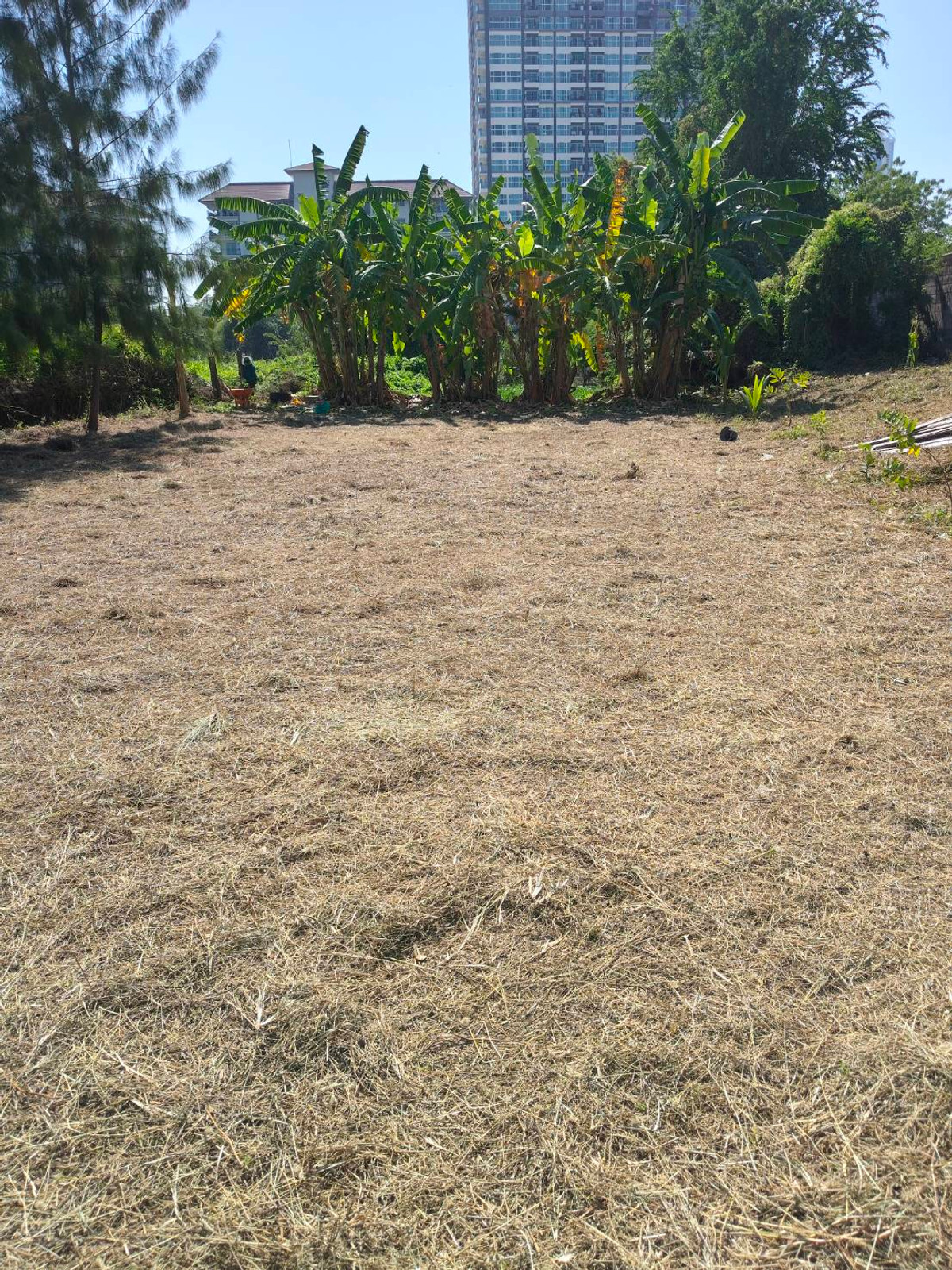 ที่ดินถนนชัยพฤกษ์ 3 / (ขาย), Land Chaiyaphruek 3 Road / (FOR SALE) AM002