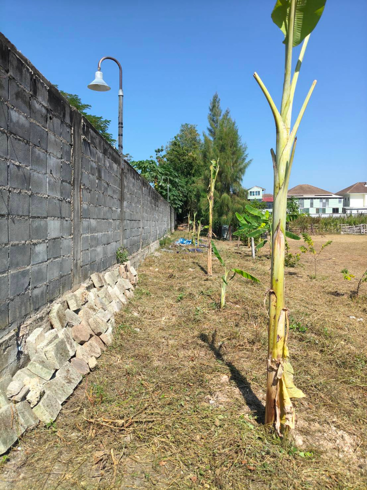 ใกล้หาดจอมเทียน เพียง 2 กม. 🌊 ที่ดิน ถนนชัยพฤกษ์ 3 / 283 ตารางวา (ขาย), Land Chaiyaphruek 3 Road / 283 Square Wa (FOR SALE) AM002