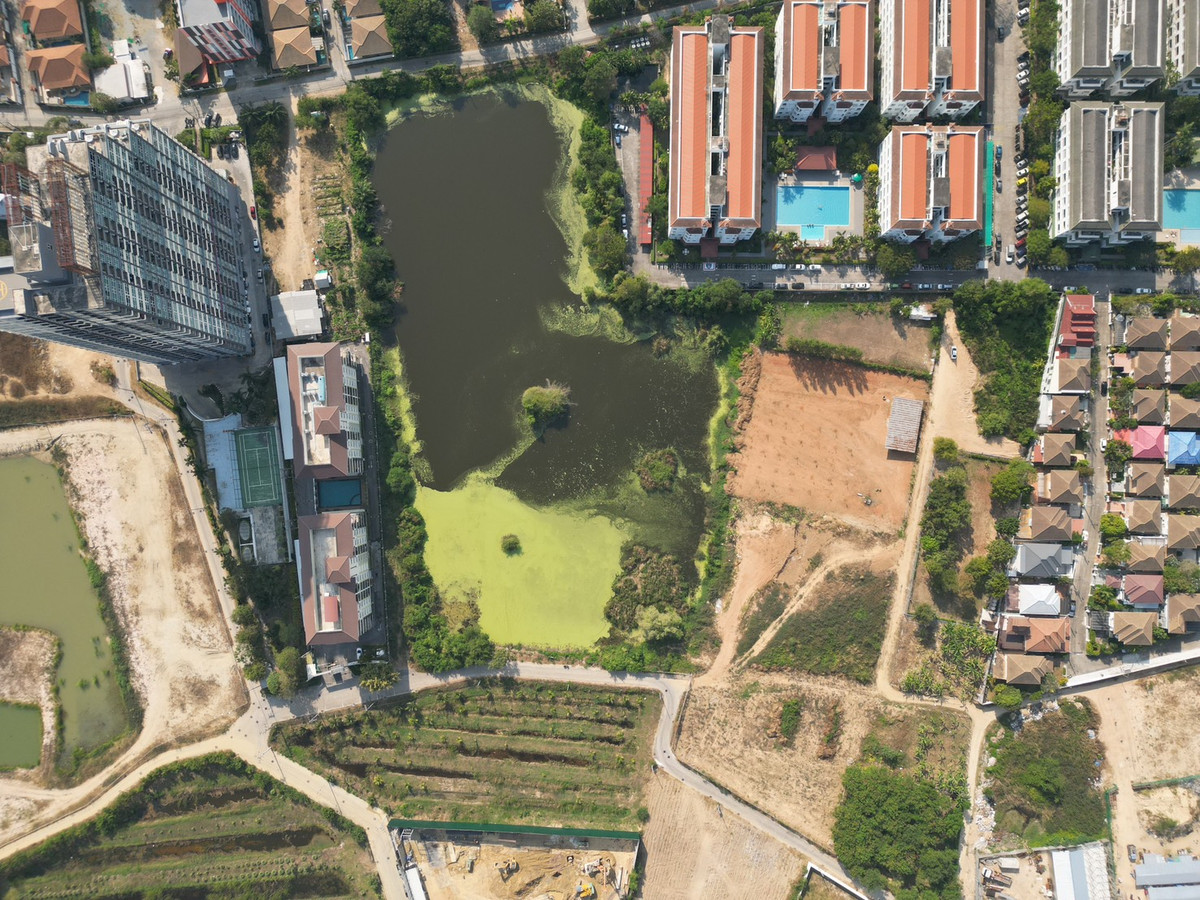 ใกล้หาดจอมเทียน เพียง 2 กม. 🌊 ที่ดิน ถนนชัยพฤกษ์ 3 / 283 ตารางวา (ขาย), Land Chaiyaphruek 3 Road / 283 Square Wa (FOR SALE) AM002