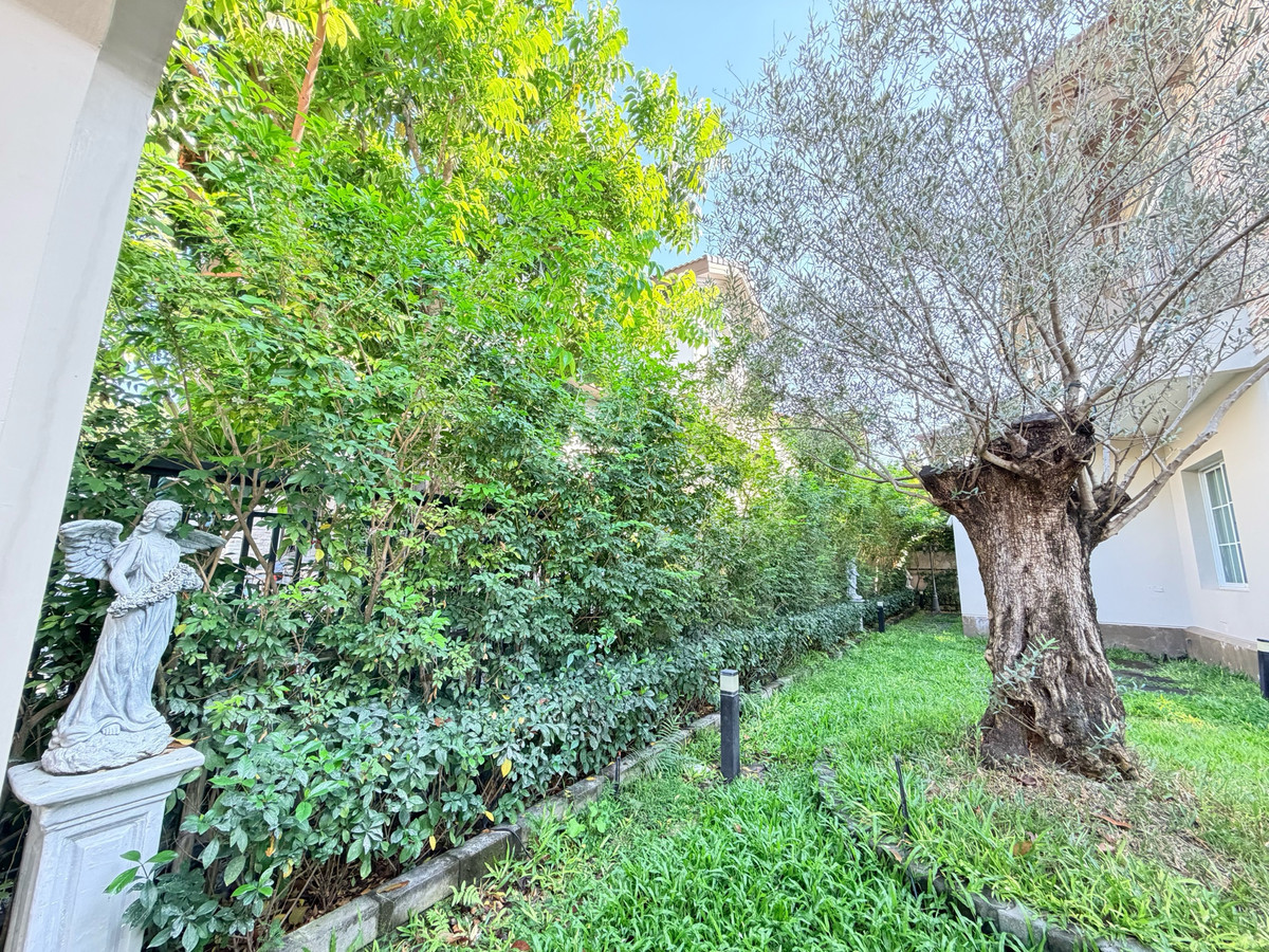 ลด 2 ล้าน! คุ้มยิ่งกว่าคุ้ม🔥 นันทวัน รามอินทรา - พหลโยธิน 50 / 4 ห้องนอน (ขาย), Nantawan Ramintra - Paholyothin 50 / 4 Bedrooms (FOR SALE) TAN880