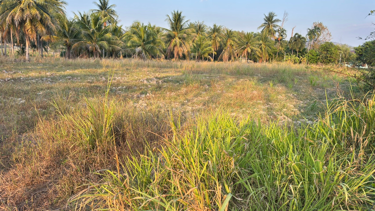 ที่ดิน 25 ไร่ เขาเขียว บางพระ ชลบุรี / (เช่า), Land 25 rai Khao Khiao Bang Phra Chonburi / (FOR RENT) YEAN092