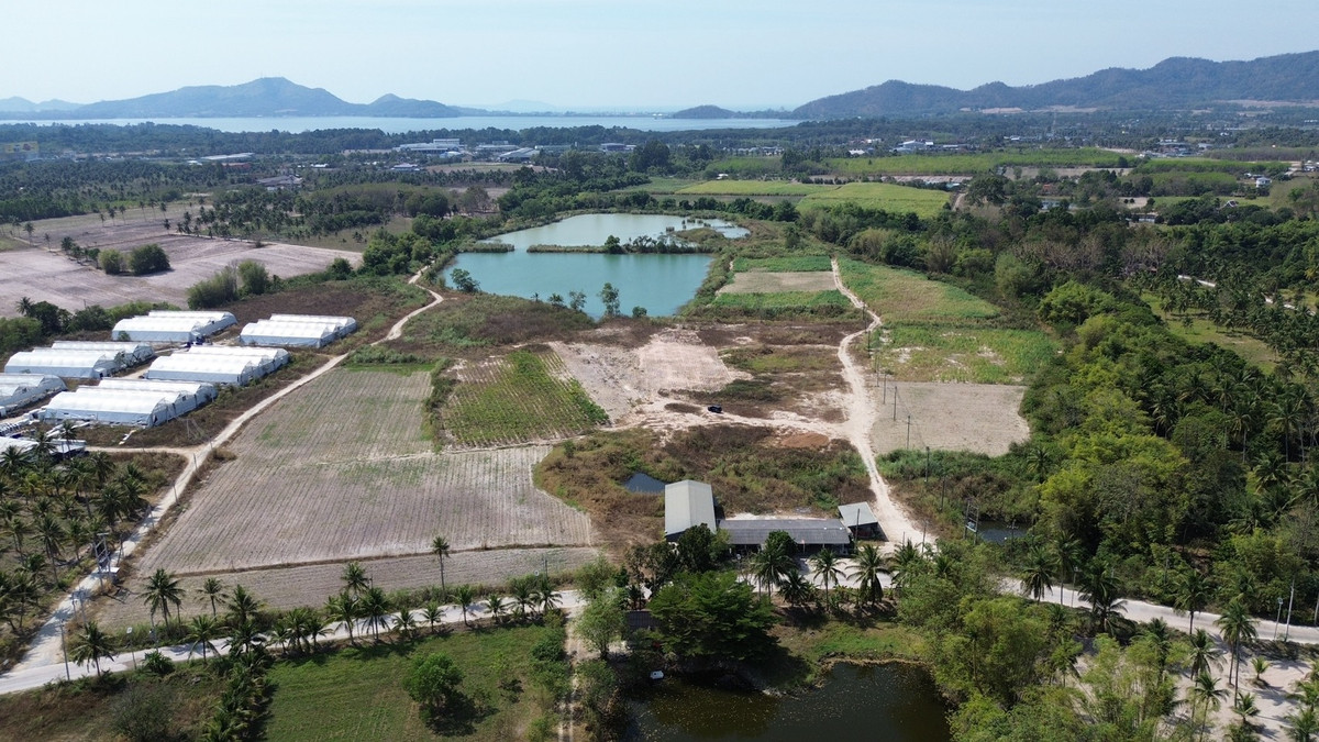 ที่ดิน 98 ไร่ เขาเขียว ต.บางพระ จ.ชลบุรี / (เช่า), Land 98 rai, Khao Khiao  Bang Phra Subdistrict, Chonburi Province / (FOR RENT) YEAN093