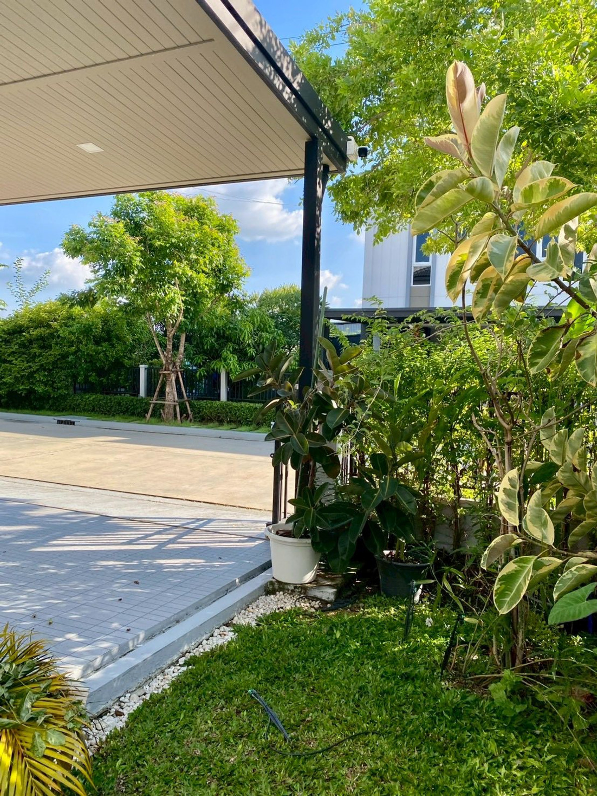 แกรนด์ พลีโน่ เมกา บางนา / 3 ห้องนอน (เช่า), Grande Pleno Mega Bangna / 3 Bedrooms (FOR RENT) YOK052