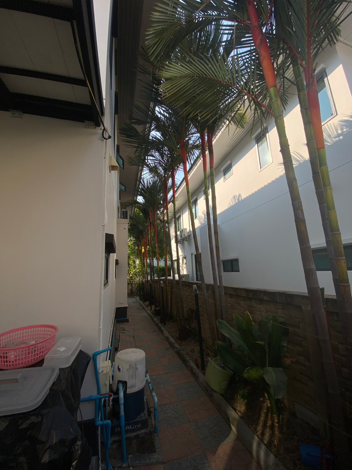 บุราสิริ วงแหวน - อ่อนนุช / 4 ห้องนอน (เช่า), Burasiri Wongwaen - Onnut / 4 Bedrooms (FOR RENT) FONT006