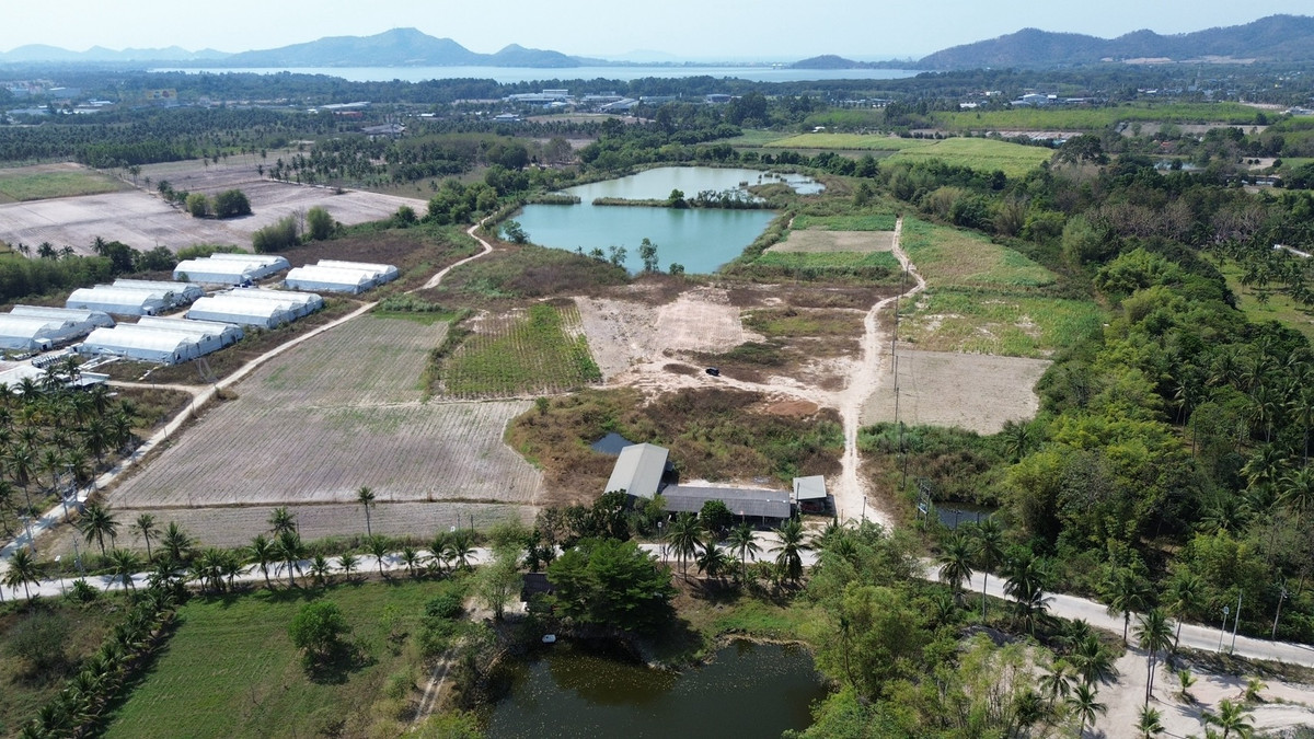 ที่ดิน 20 ไร่ เขาเขียว บางพระ จ.ชลบุรี / (เช่า), Land 20 rai Khao Khiao Bang Phra Chonburi Prov / (FOR RENT) YEAN116