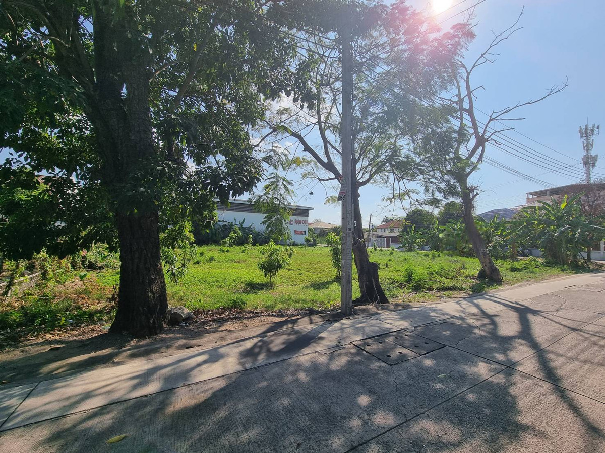 ที่ดิน ติวานนท์ 37 / (ขาย), Land Tiwanon 37 / (FOR SALE) AOM086