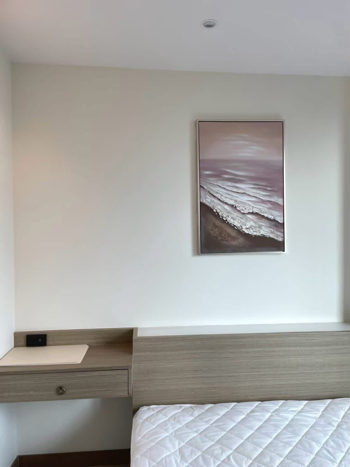 The Riviera Ocean Drive / 1 Bedroom (FOR RENT), เดอะ ริเวียร่า โอเชี่ยน ไดร์ฟ / 1 ห้องนอน (เช่า) AM081