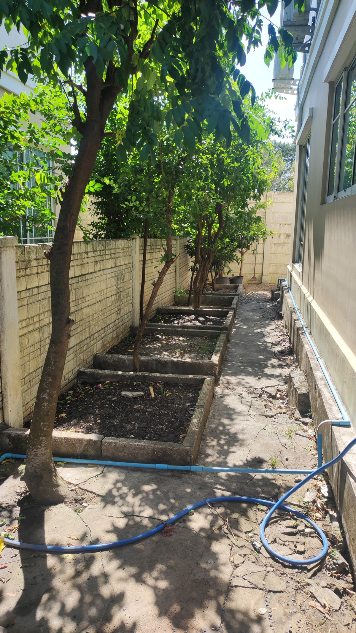 ภัสสร 21 พระราม 9 - วงแหวน / 3 ห้องนอน (เช่า), Passorn 21 Rama 9 - Wongwaen / 3 Bedrooms (FOR RENT) BZD030