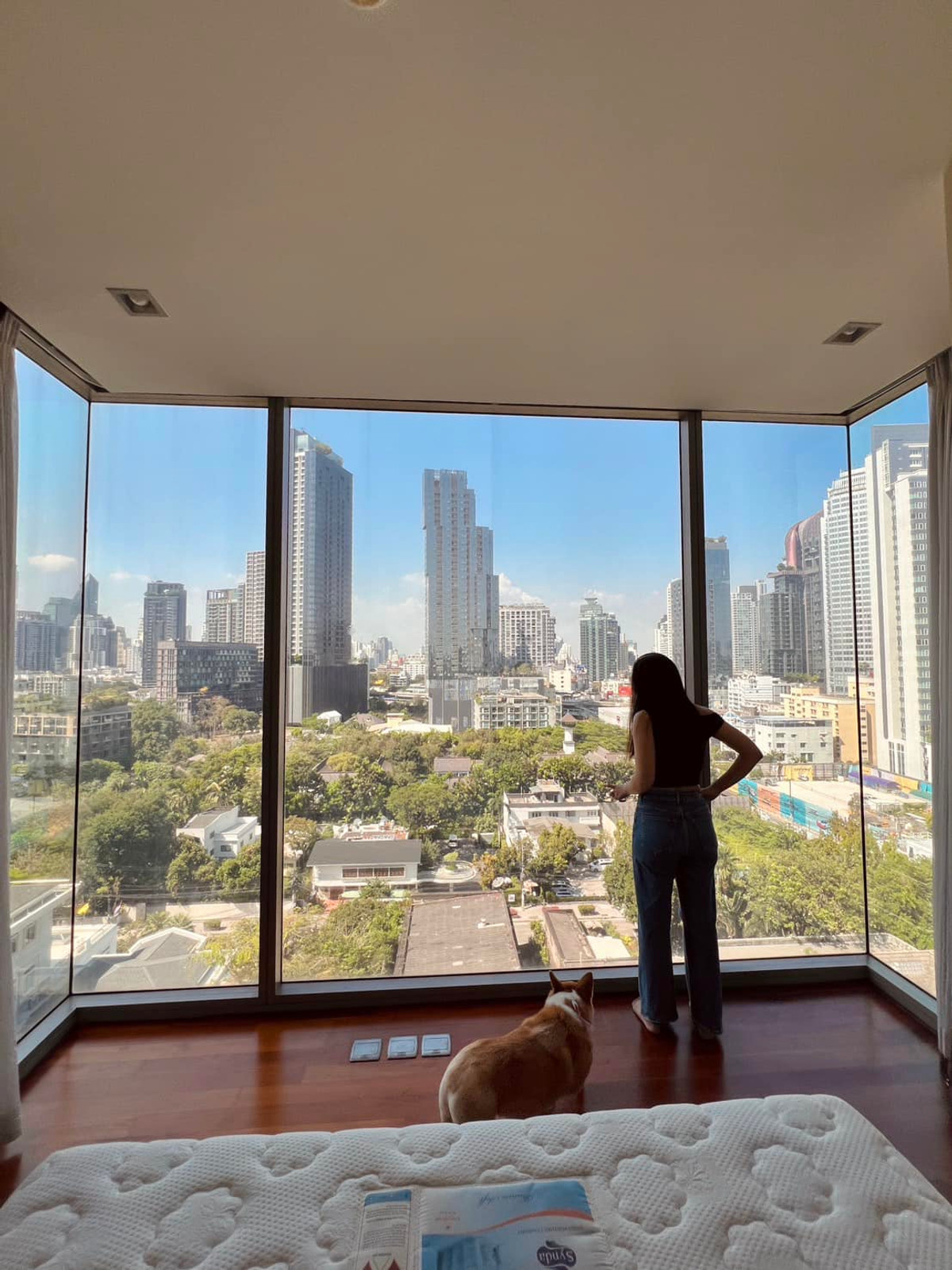 Ashton Morph 38 / 2 Bedrooms (FOR SALE), แอชตัน มอร์ฟ 38 / 2 ห้องนอน (ขาย) NA052