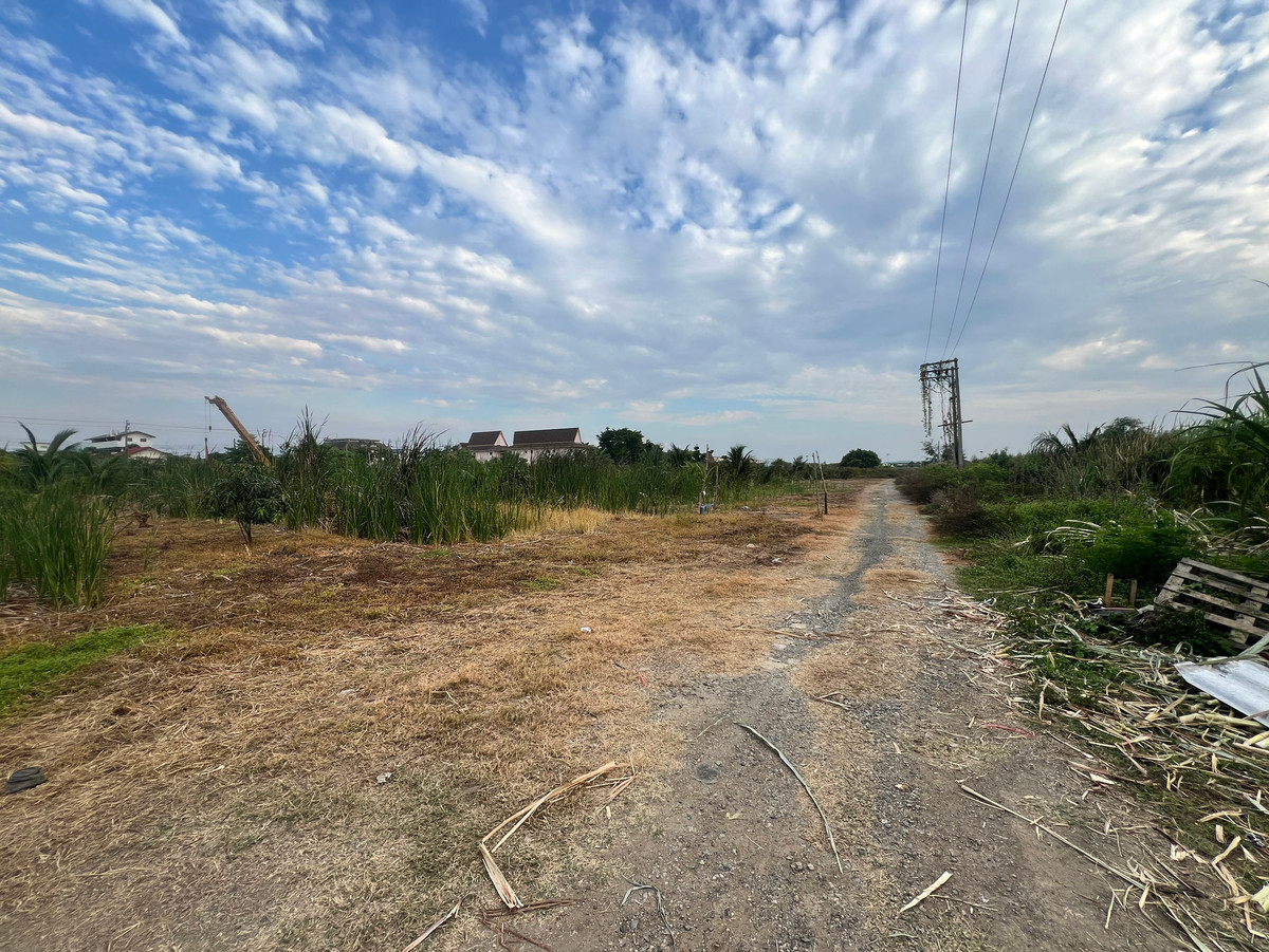 ที่ดิน ซอยลาดกระบัง 40/1 / (ขาย), Land Soi Lat Krabang 40/1 / (FOR SALE) BZD154