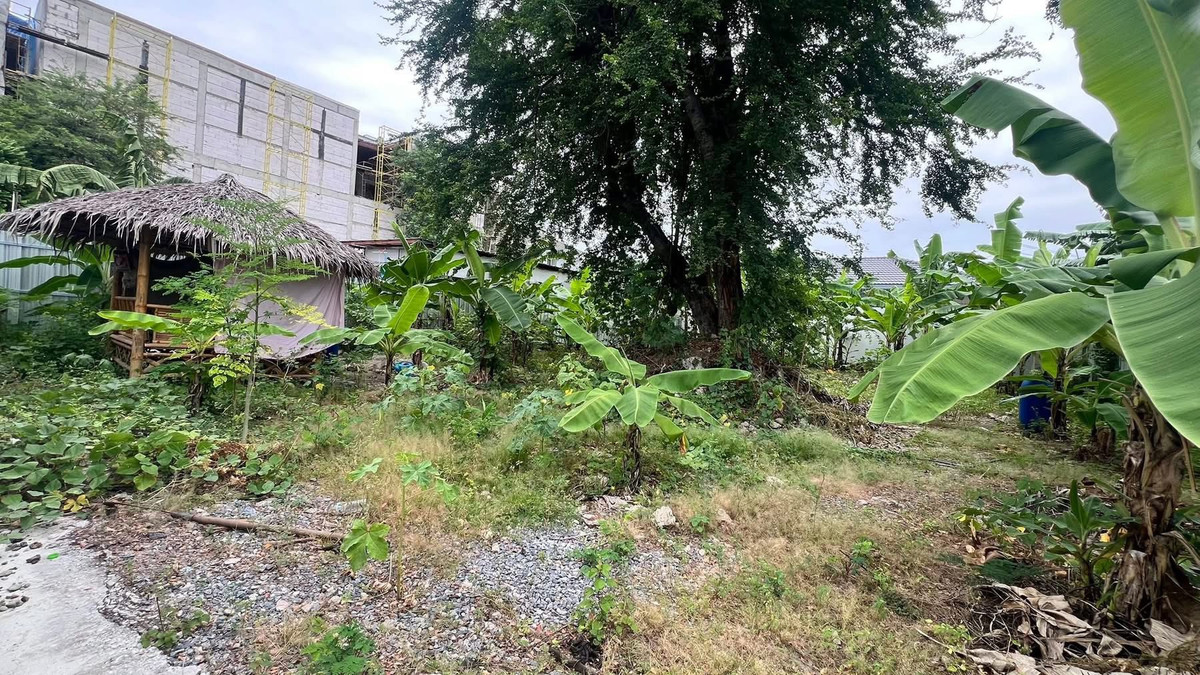 ที่ดิน นาคนิวาส 37 / 101 ตร.ว. (ขาย), Land Nakniwat 37 / 101 sq.w. (FOR SALE) FAHS062