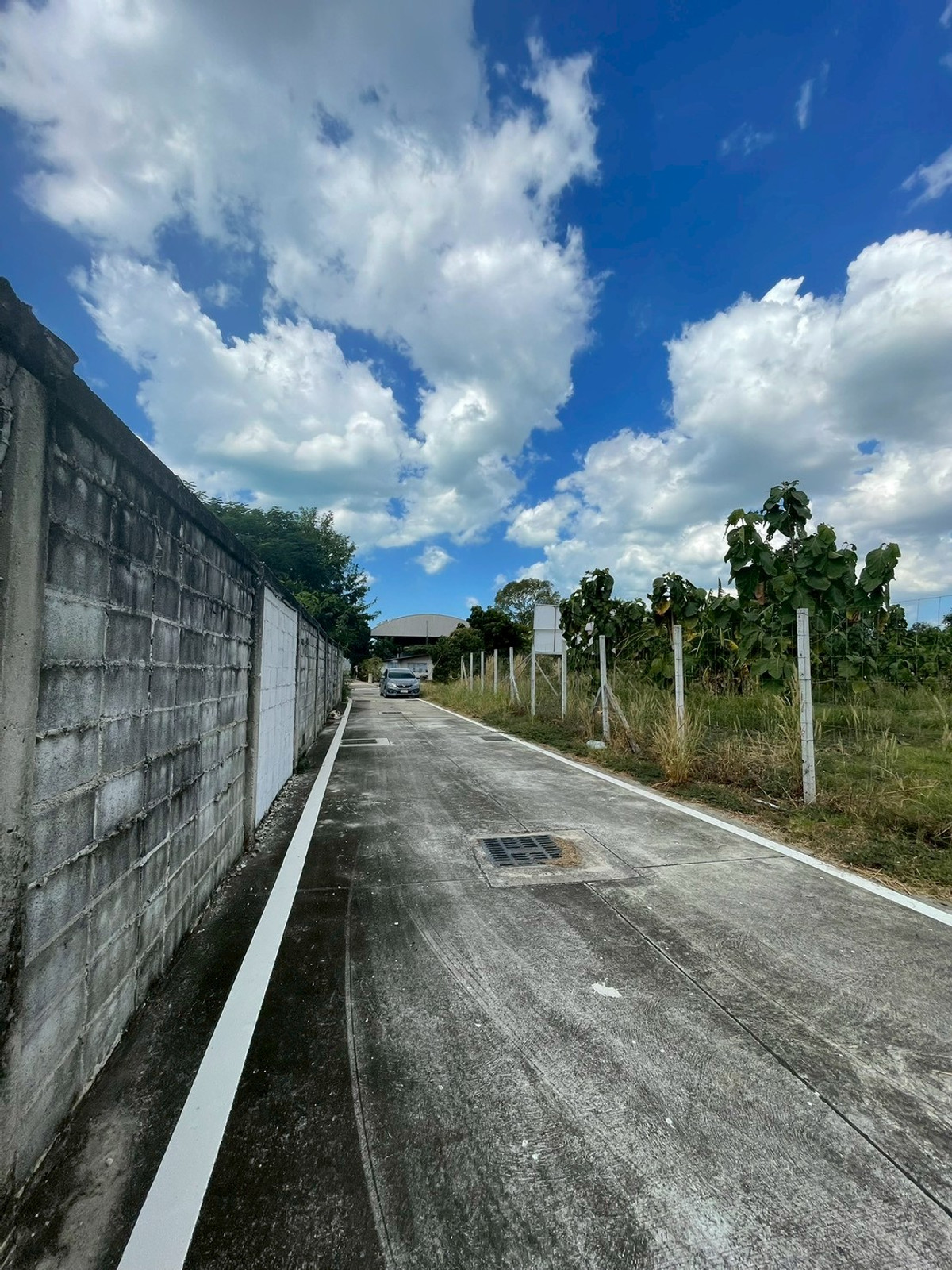 ผืนใหญ่ เกือบ 1 ไร่ หลังวัดกระทิงลาย เงียบสงบ 🔥 ที่ดิน 379 ตร.วา กระทิงลาย / (ขาย), Land 379 sq.wah Krating Lai / (FOR SALE) BEWN039