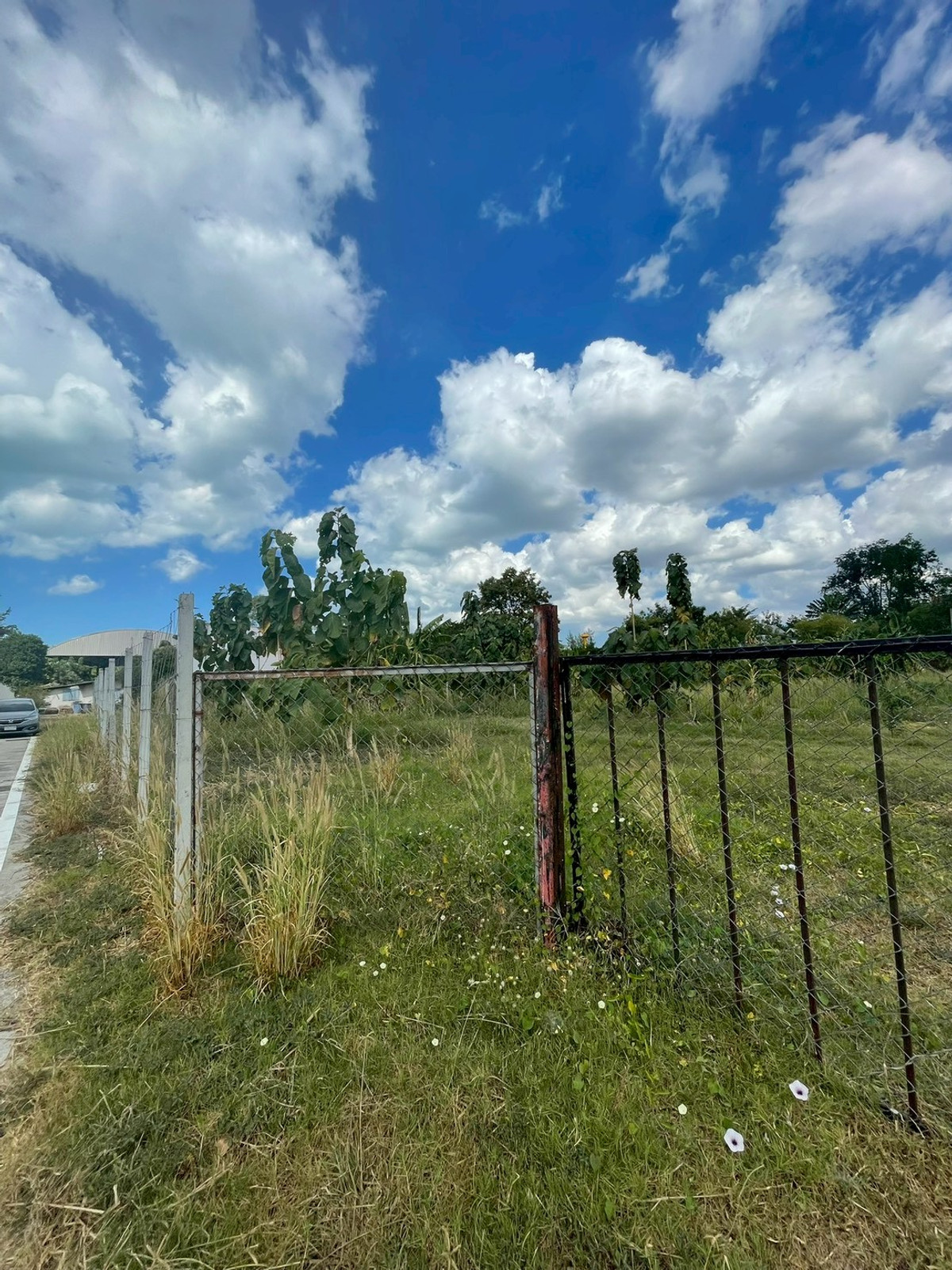 ผืนใหญ่ เกือบ 1 ไร่ หลังวัดกระทิงลาย เงียบสงบ 🔥 ที่ดิน 379 ตร.วา กระทิงลาย / (ขาย), Land 379 sq.wah Krating Lai / (FOR SALE) BEWN039