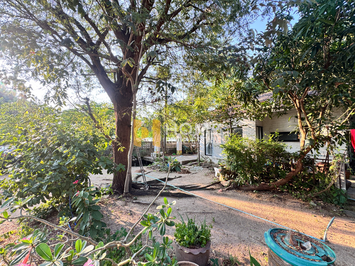 ที่ดิน 1 งาน 60 ตร.ว. หลังอัสสัมชัญ ศรีราชา / (ขาย), Land 1 Ngan 60 Sq.w. Assumption Sriracha /(FOR SALE) YEAN169