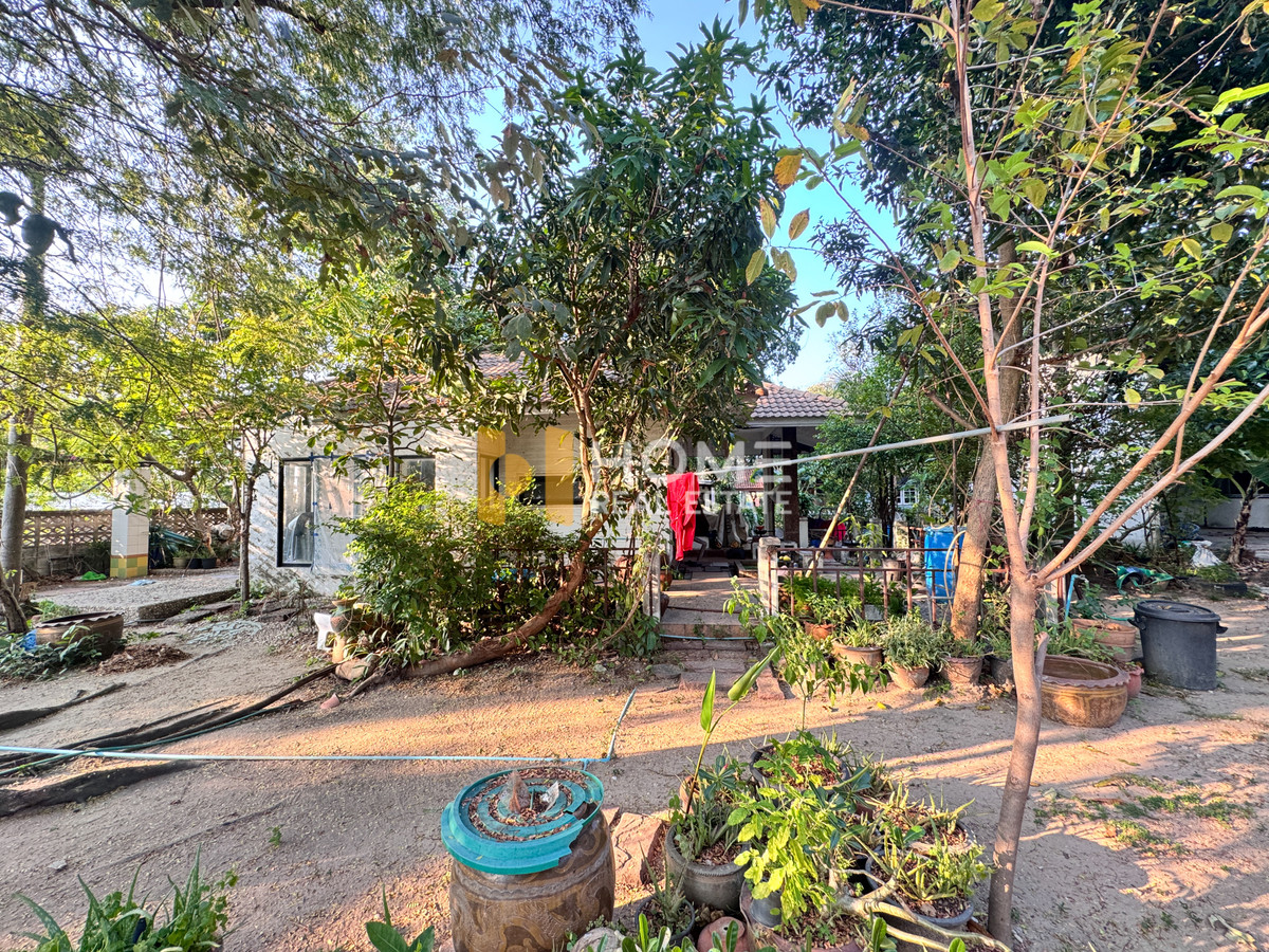 ที่ดิน 1 งาน 60 ตร.ว. หลังอัสสัมชัญ ศรีราชา / (ขาย), Land 1 Ngan 60 Sq.w. Assumption Sriracha /(FOR SALE) YEAN169