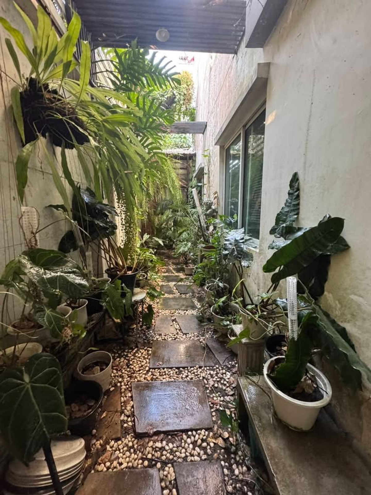 ทาวน์พลัส เกษตร - นวมินทร์ / 3 ห้องนอน (ขาย), Town Plus Kaset - Nawamin / 3 Bedrooms (FOR SALE) MNT064