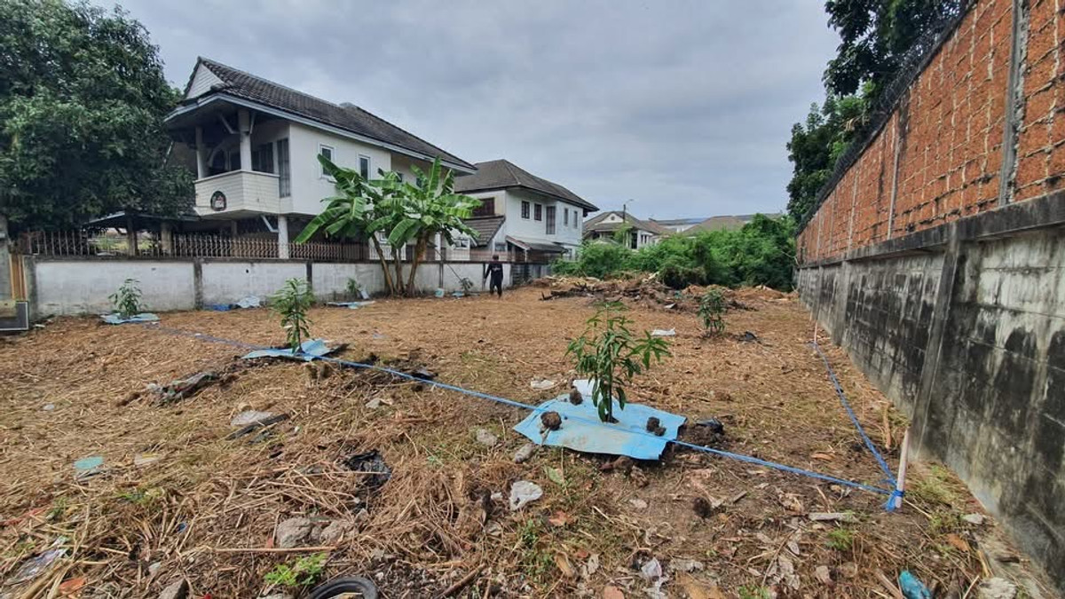 ที่ดิน นวมินทร์ 74 / (ขาย), Land in Nawamin Soi 74 / (FOR SALE) MNT082