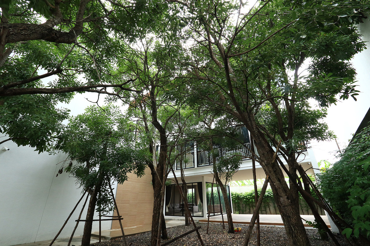 บ้านเดี่ยว พูลวิลล่า สุขาภิบาล 5 - เทพรักษ์ / 4 ห้องนอน (เช่า), Detached House Pool Villa Sukhapiban 5 - Theparak / 4 Bedrooms (FOR RENT) TAN724