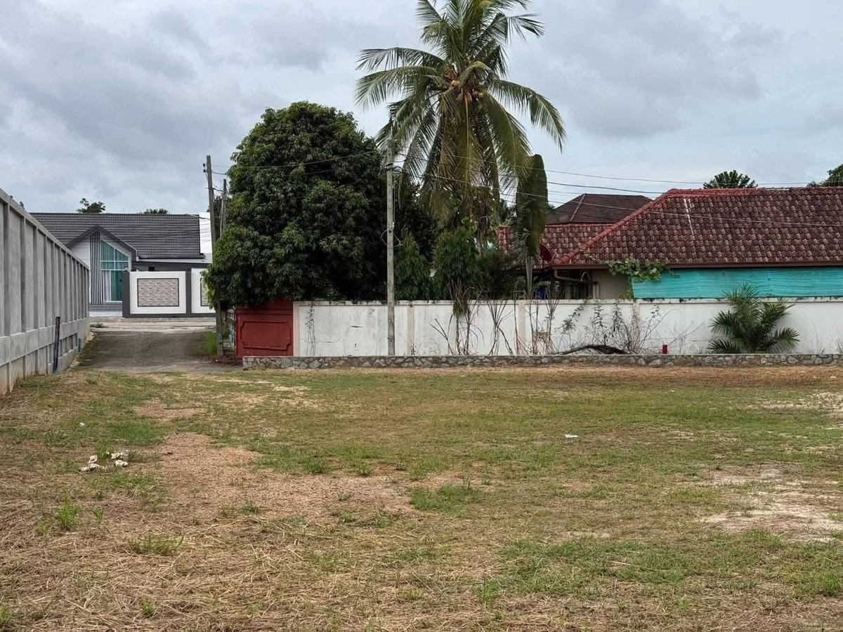 ที่ดิน 226 ตร.ว. มาบประชันบน 1 / (ขาย), Land 226 sq.w. Mabprachan Bon 1 / (FOR SALE) BEWN172