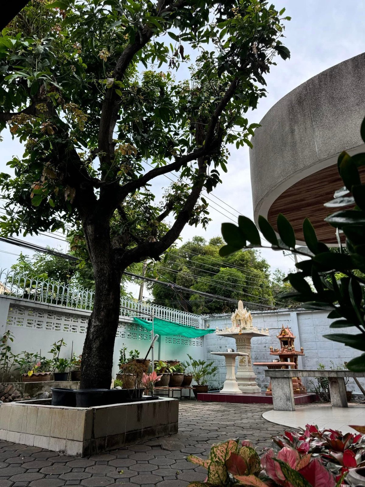 บ้านเดี่ยว 3 ชั้น ซอยนราธิวาสราชนครินทร์ 18 / 4 ห้องนอน (ขาย), House Soi Naradhiwas Rajanagarindra 18 / 4 Bedrooms (FOR SALE) DML038