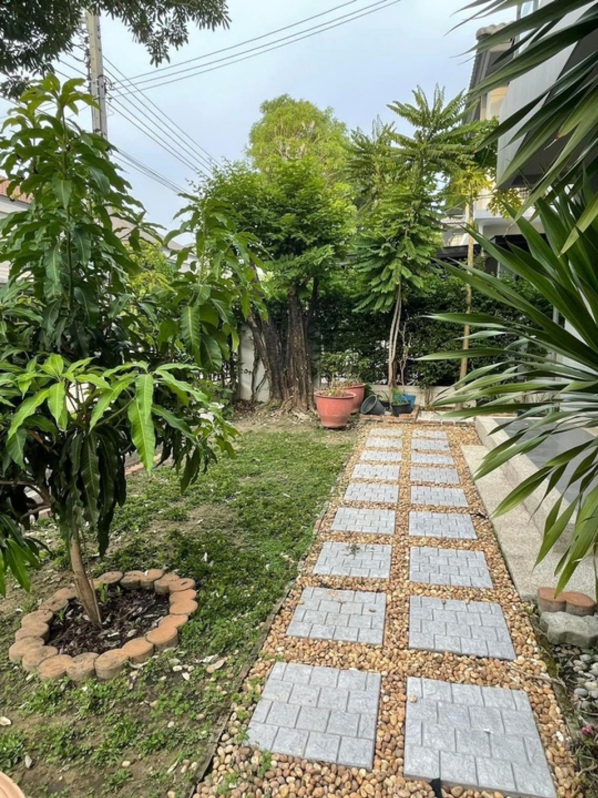 เวนิว พระราม 5 / 3 ห้องนอน (ขาย), Venue Rama 5 / 3 Bedrooms (FOR SALE) AOM128
