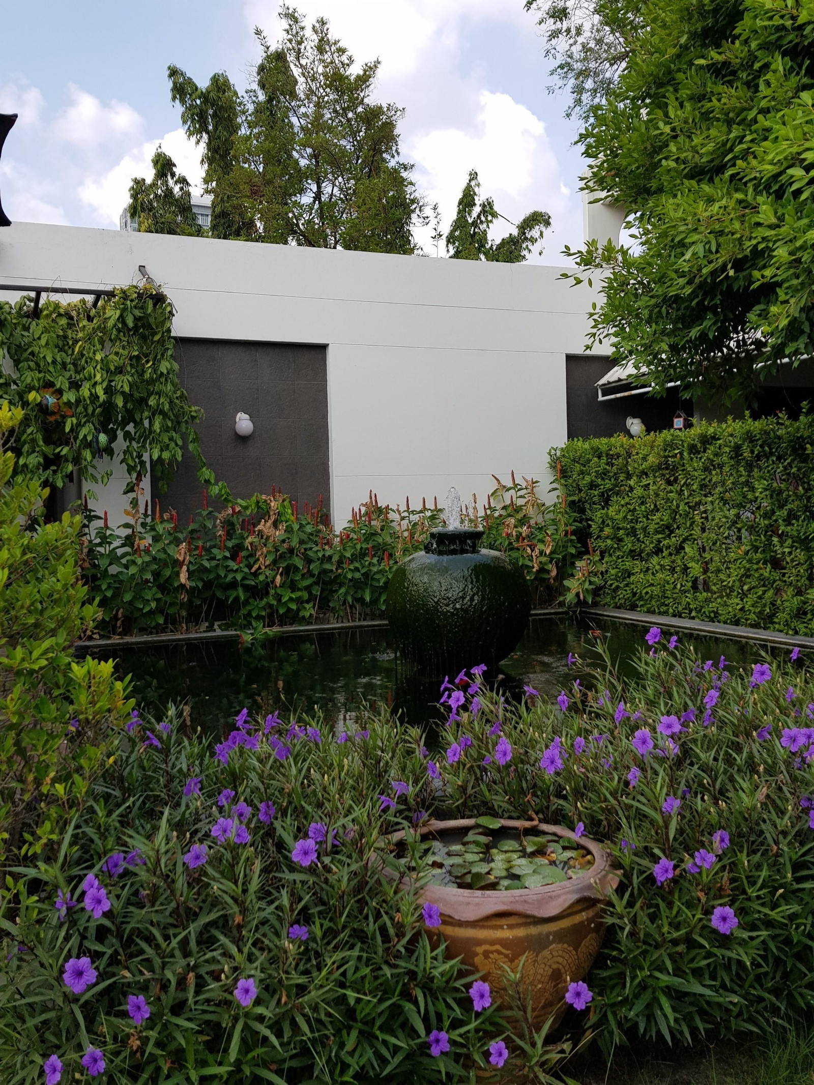 ที่ดินและสิ่งปลูกสร้าง สุขุมวิท 81 (ขาย) / House & Land Sukhumvit 81 (FOR SALE) GNG151