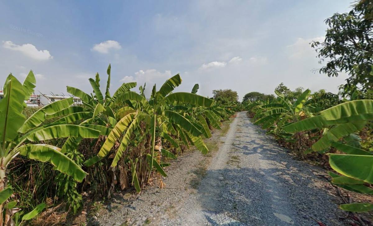 ที่ดิน ที่ดิน บางนา กม.5 / 2 ไร่ 2 งาน (ขาย), Land ที่ดิน บางนา กม.5 / 0 Square Wa (FOR SALE) GNG190