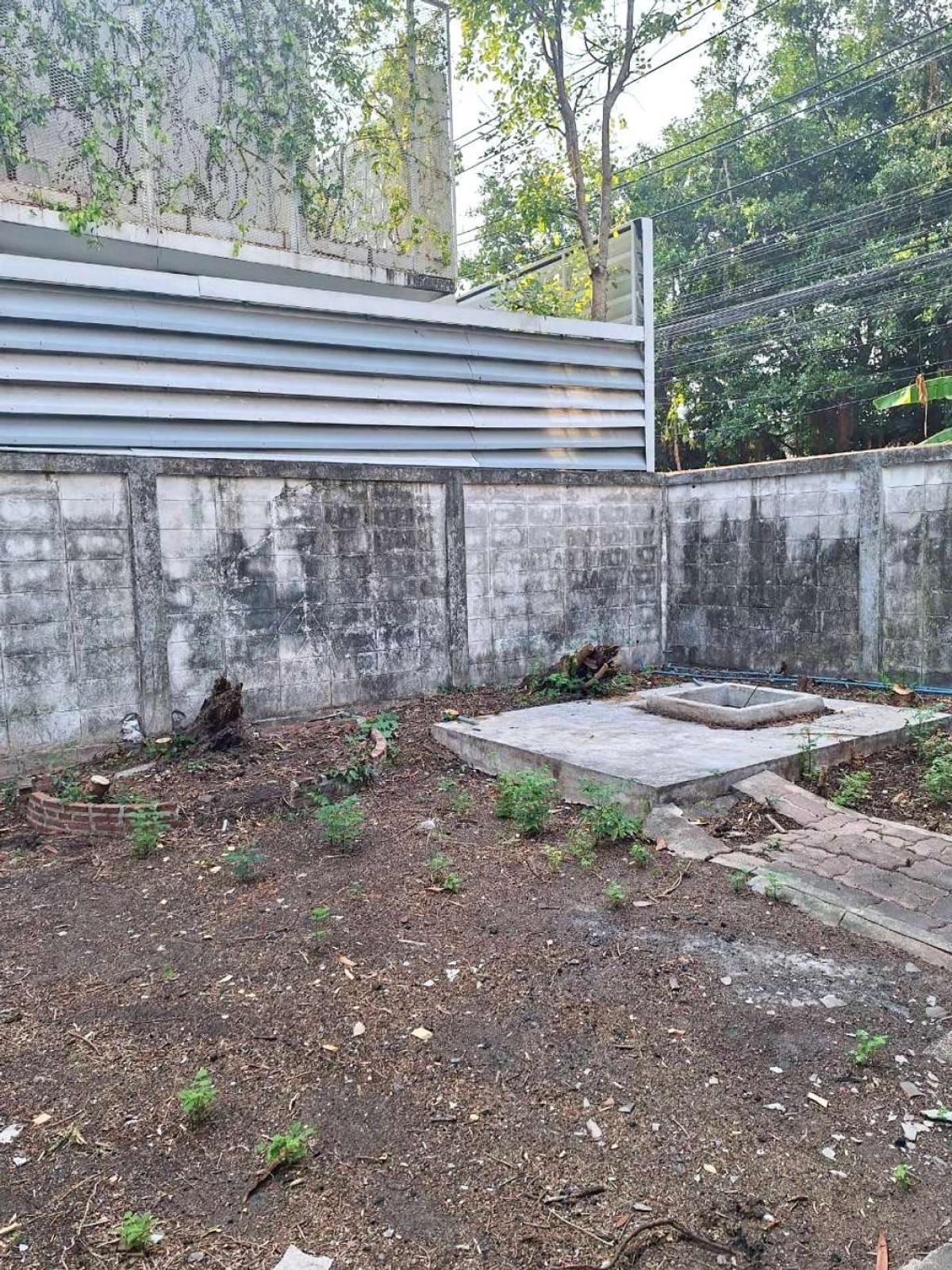 ที่ดินพร้อมสิ่งปลูกสร้าง ซอยศรีนครินทร์ 38 / 141 ตร.วา (ขาย), Land with buildings, Soi Srinakarin 38. / 141 Square Wa (FOR SALE) GNG181