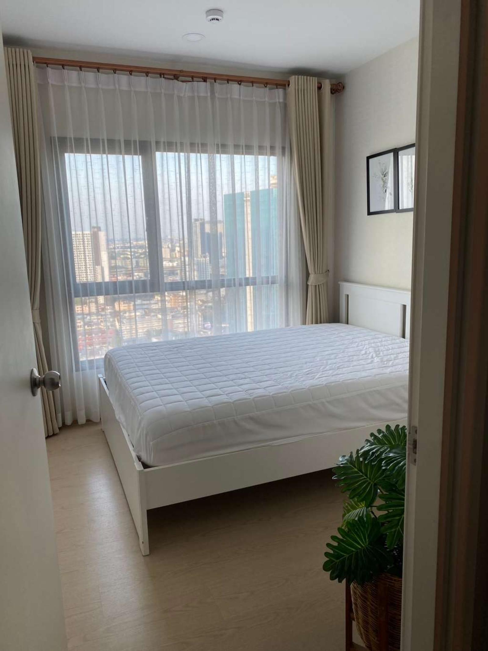 The Tree Sukhumvit 71 - Ekamai / 1 Bedroom (SALE WITH TENANT), เดอะ ทรี สุขุมวิท 71 - เอกมัย / 1 ห้องนอน (ขายพร้อมผู้เช่า) JSMN260