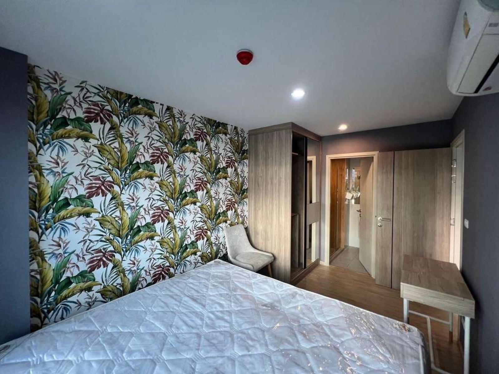 The Excel Hideaway Sukhumvit 50 / 1 Bedroom (SALE WITH TENANT), ดิ เอ็กเซล ไฮด์อะเวย์ สุขุมวิท 50 / 1 ห้องนอน (ขายพร้อมผู้เช่า) PYN113