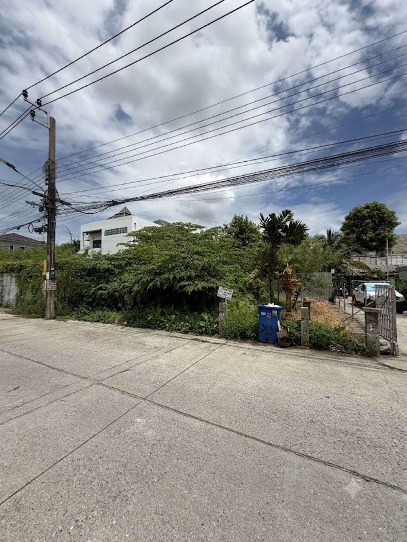 ที่ดิน 50 ตร.ว. แบริ่ง 19 / 50 ตร.วา (ขาย), ที่ดิน 50 ตร.ว. แบริ่ง 19 / 50 Square Wa (FOR SALE) DA078