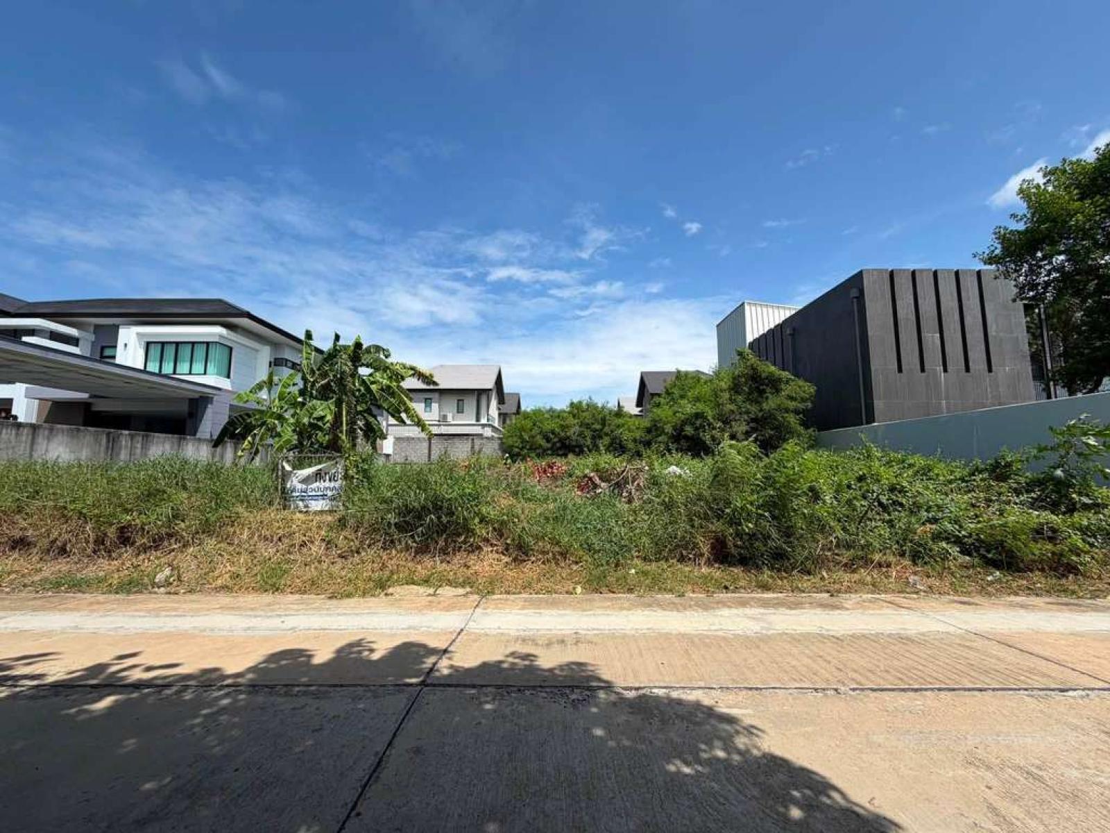 ที่ดิน หมู่บ้านปรีชา / 160 ตร.วา (ขาย), Land Preecha Village / 160 Square Wa (FOR SALE) POON306