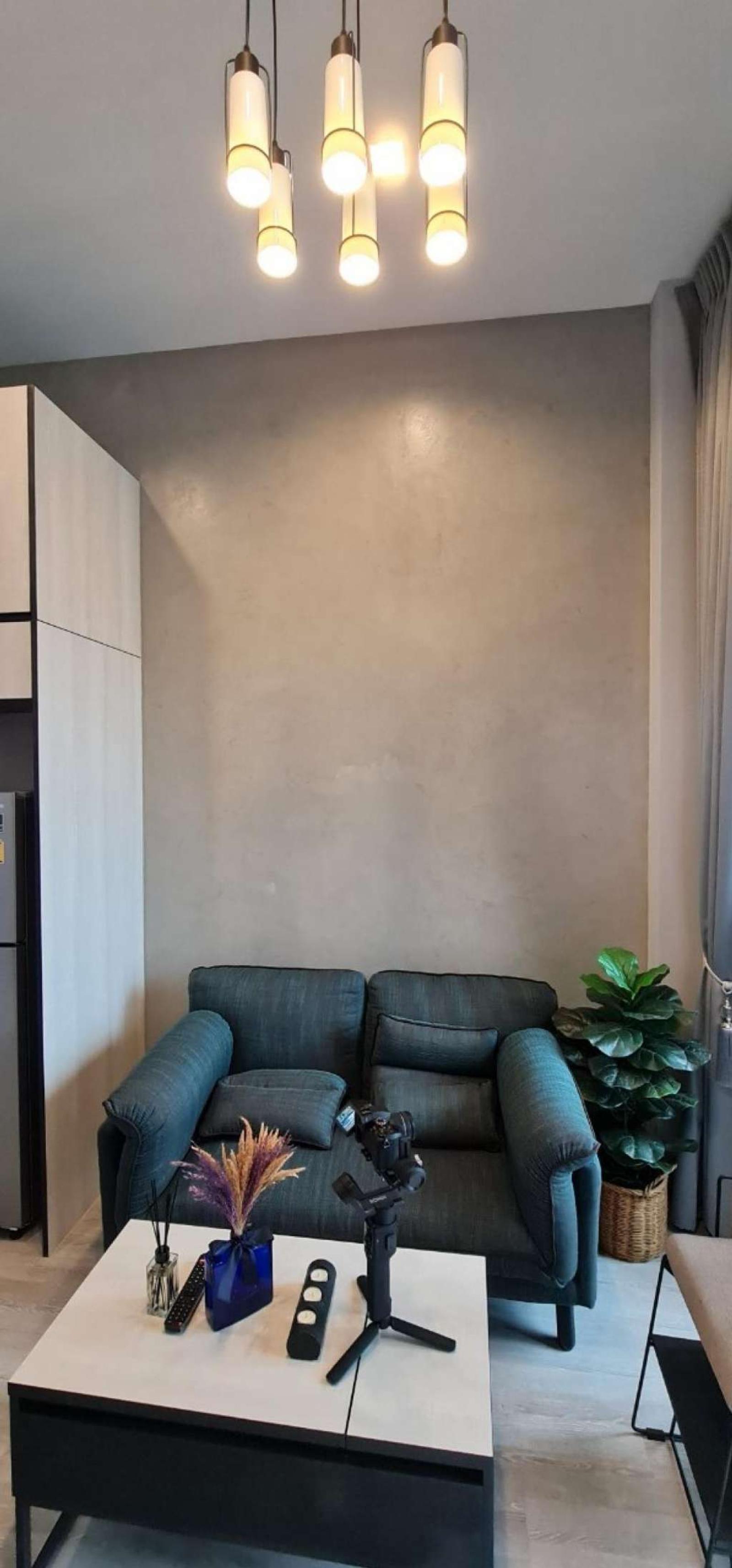 The Line Sukhumvit 101 / 1 Bedroom (SALE WITH TENANT),  / 1 ห้องนอน (ขายพร้อมผู้เช่า) PYN272