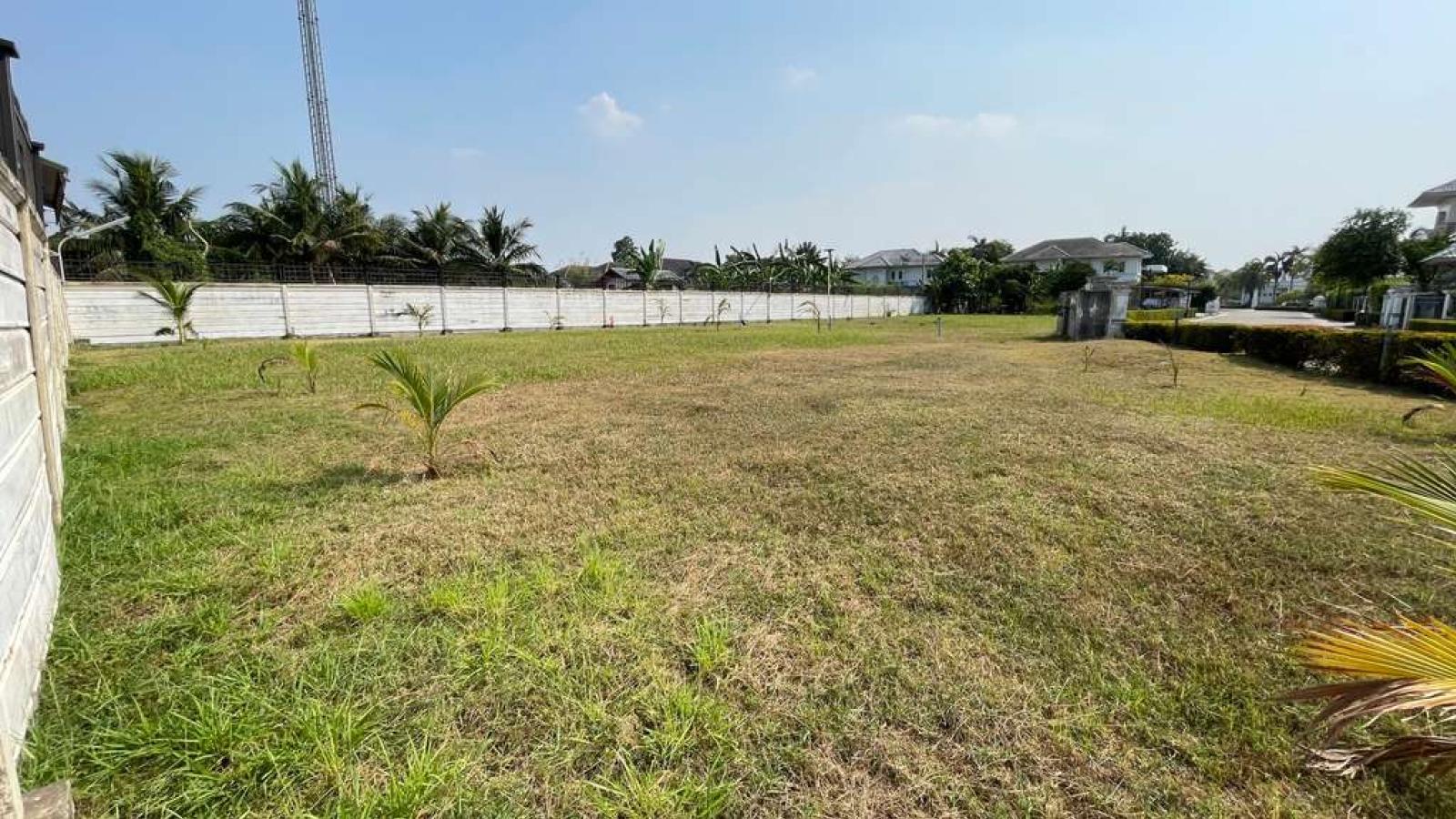 ธนทอง เลคไซด์ ซิตี้โฮม / 163.9 ตร.วา (ขาย),Thanathong Lakeside City Home / 163.9 Square Wa (FOR SALE) BALL431