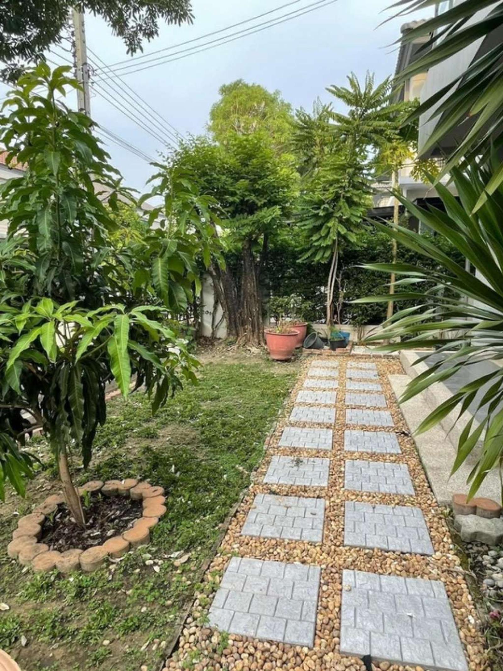 เวนิว พระราม 5 / 3 ห้องนอน (ขาย), Venue Rama 5 / 3 Bedrooms (FOR SALE) EARK100
