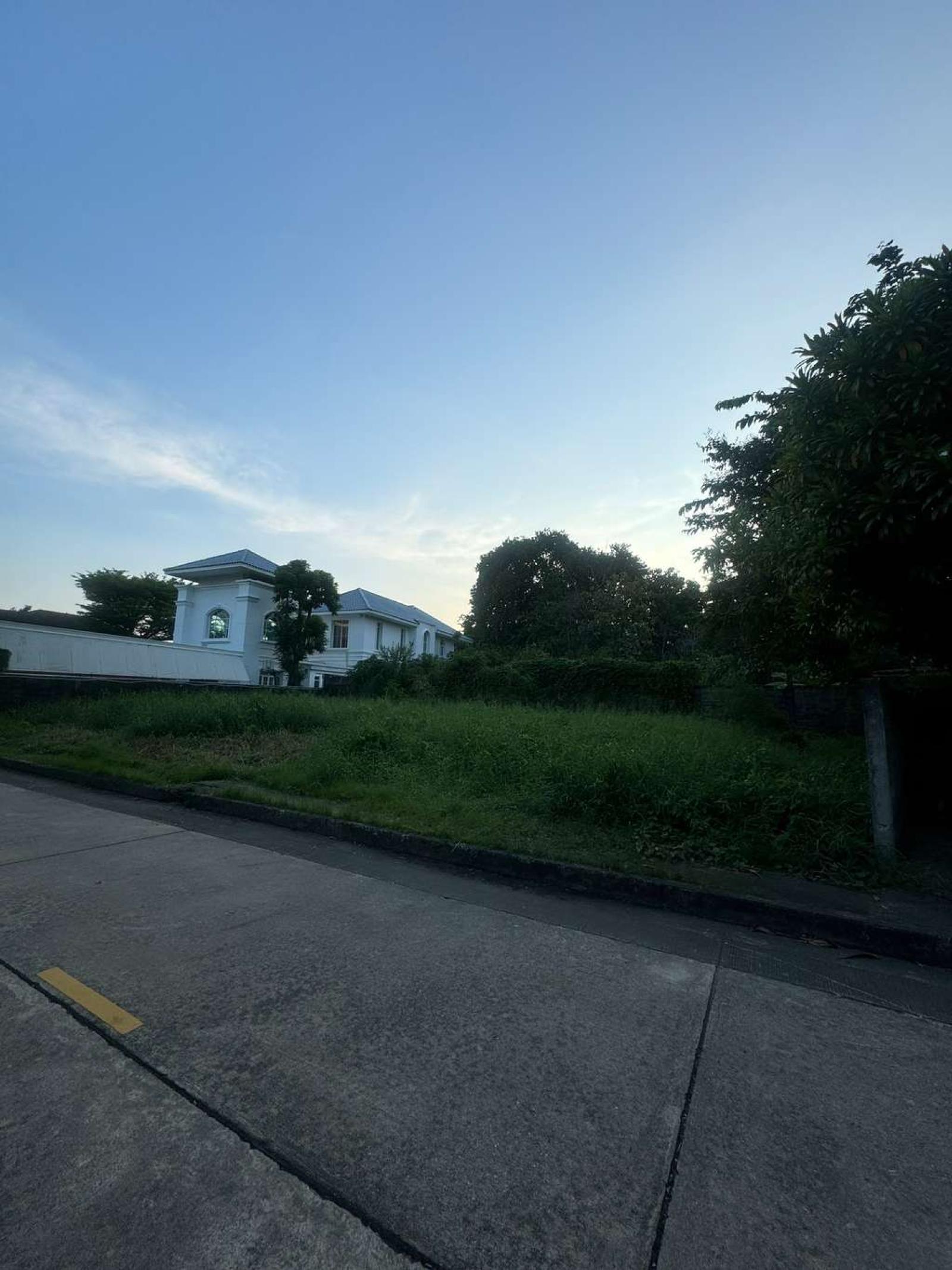 ที่ดิน ปัญญา พัฒนาการ / 297 ตร.วา (ขาย), Land Panya Village Pattanakarn / 297 Square Wa (FOR SALE) FAS054