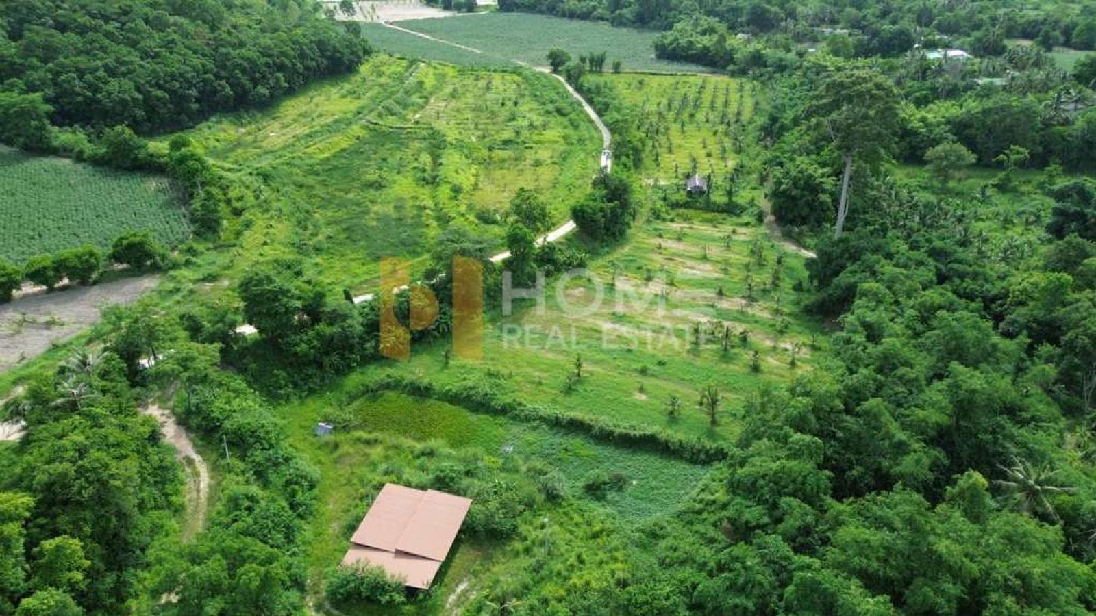 ที่่ดิน 78 ไร่ เขาเขียว บางพระ / 78 ไร่ (ให้เช่า), 78 rai of land in Khao Khiao, Bang Phra. / 0 Square Wa (FOR RENT) YEAN251