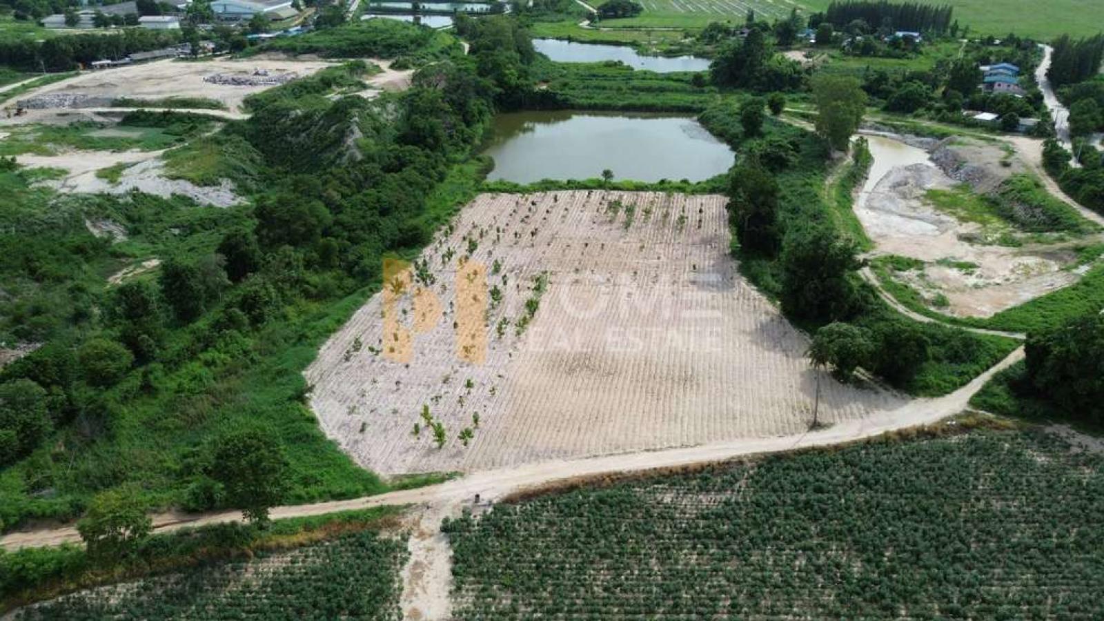 ที่่ดิน 78 ไร่ เขาเขียว บางพระ / 78 ไร่ (ให้เช่า), 78 rai of land in Khao Khiao, Bang Phra. / 0 Square Wa (FOR RENT) YEAN251