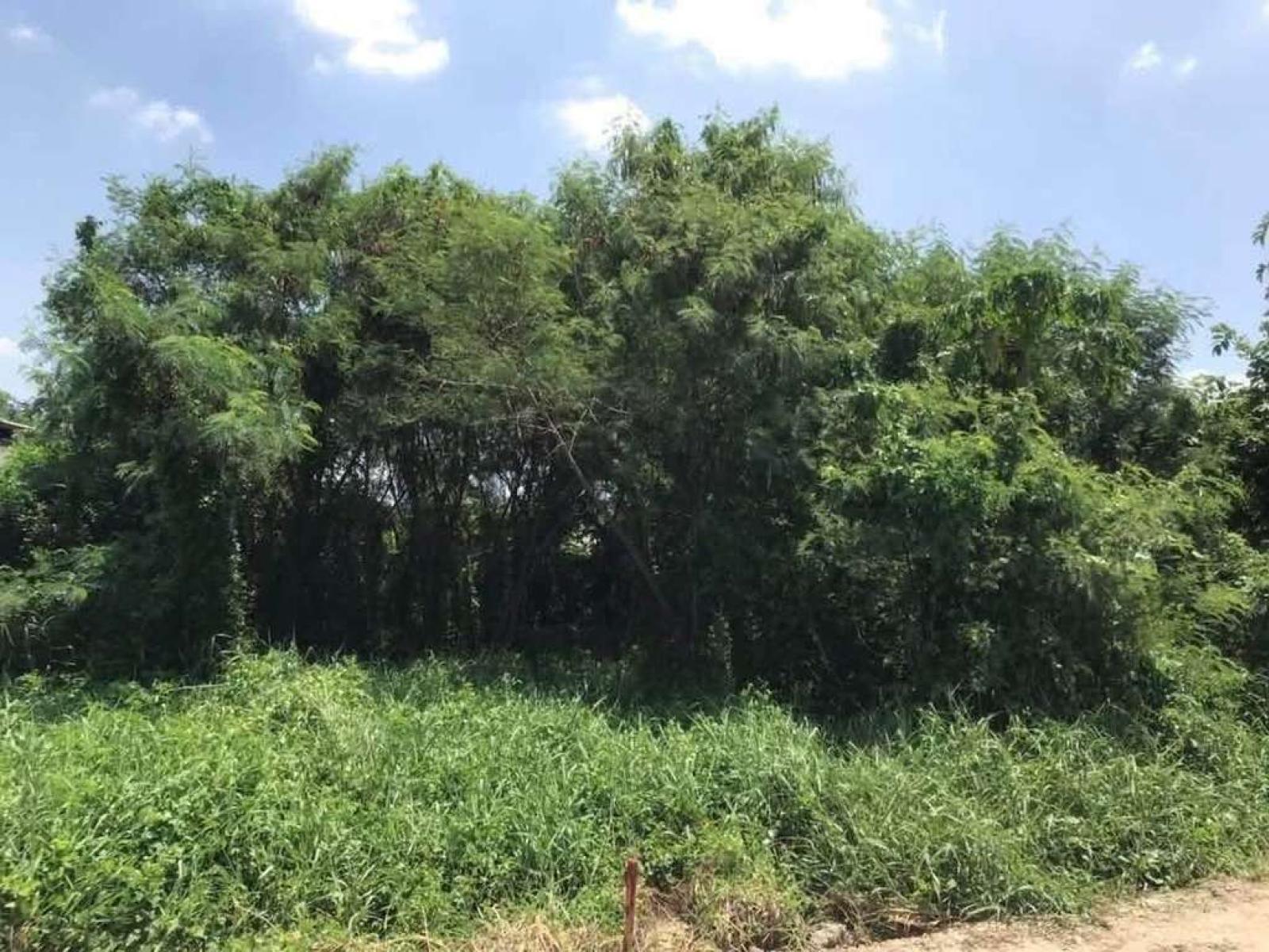 ที่ดินเปล่า ซอยศรีด่าน 22 / 103 ตร.วา (ขาย), Vacant land Soi Sridan 22 / 103 Square Wa (FOR SALE) PSRN016