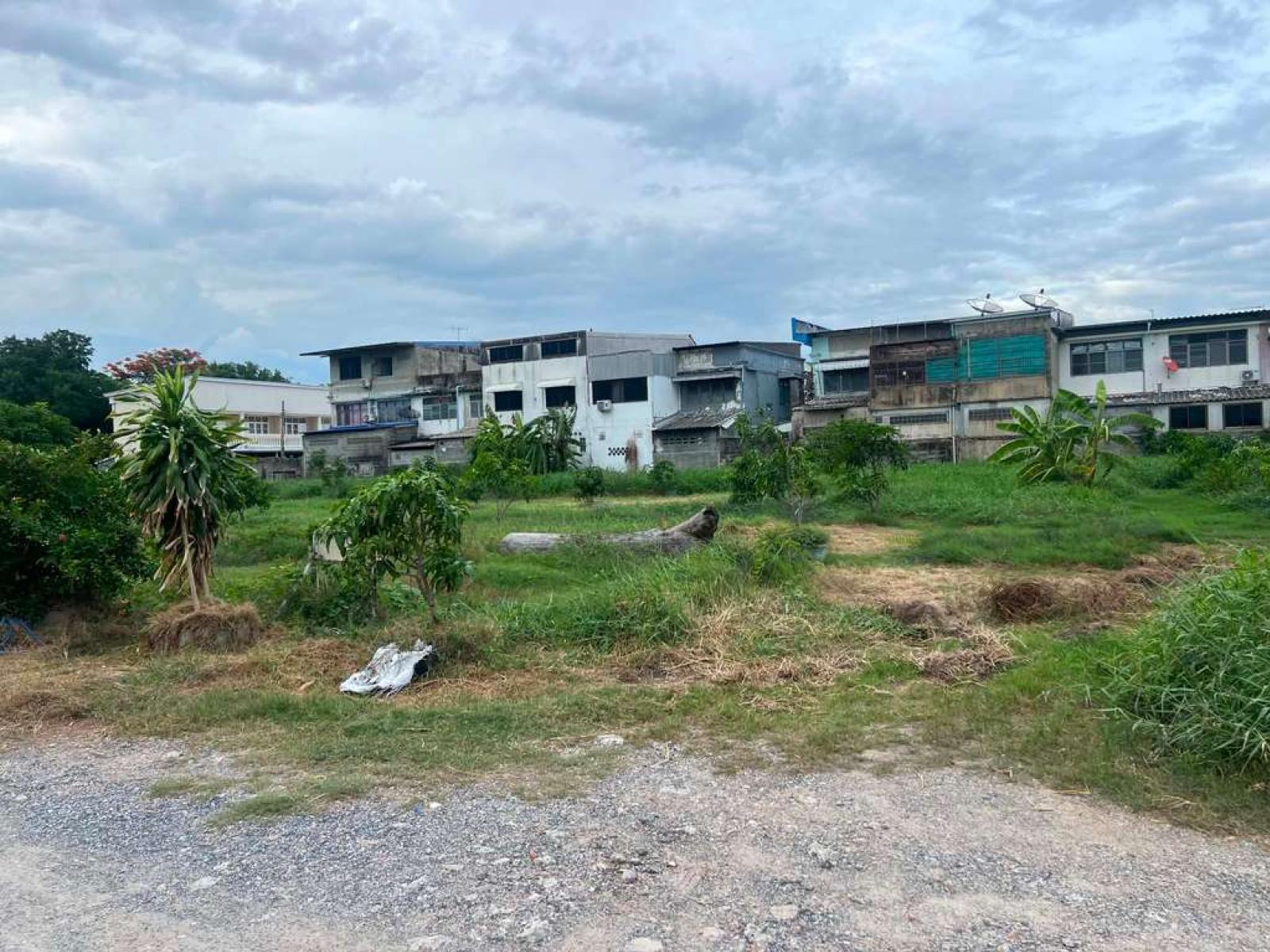 ที่ดิน หนามแดง-บางพลี 200 ตารางวา / 200 ตร.วา (ขาย), Land plot in Nam Daeng-Bang Phli, 200 square wah. / 200 Square Wa (FOR SALE) DA150