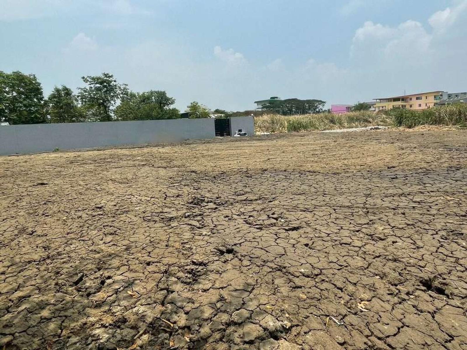 ที่ดินติดถนนคู่ขนานกาญจนาภิเษก ประเวศ 110 ตารางวา / 110 ตร.วา (ขาย), Land plot adjacent to Kanchanaphisek Expressway, Prawet, 110 square wah. / 110 Square Wa (FOR SALE) DA154