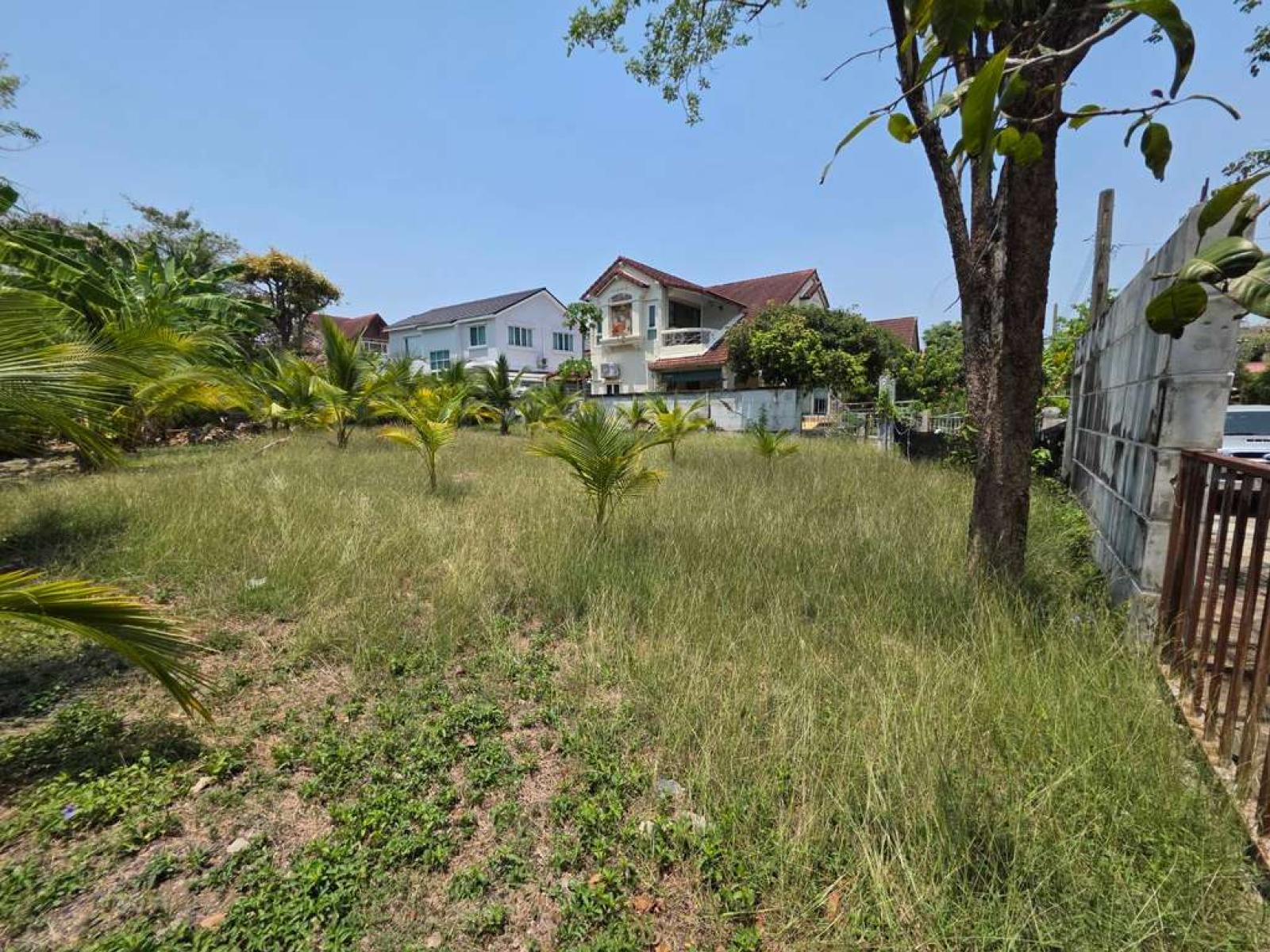 ลดาวัลย์ - ศรีนครินทร์ / 118 ตร.วา (ขาย), Ladawan - Srinakarin / 118 Square Wa (FOR SALE) DA226