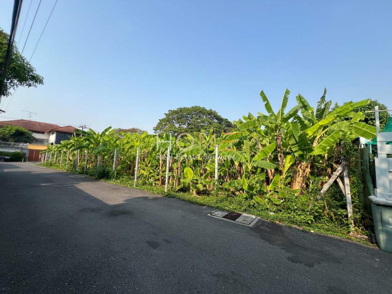 ที่ดินเปล่า 129 ตร.ว. ปรีดีพนมยงค์ 14 (แปลงด้านนอก) / 129 ตร.วา (ขาย), Vacant land, 129 sq.wa., Pridi Phanomyong 14 (outer plot). / 129 Square Wa (FOR SALE) GNG246