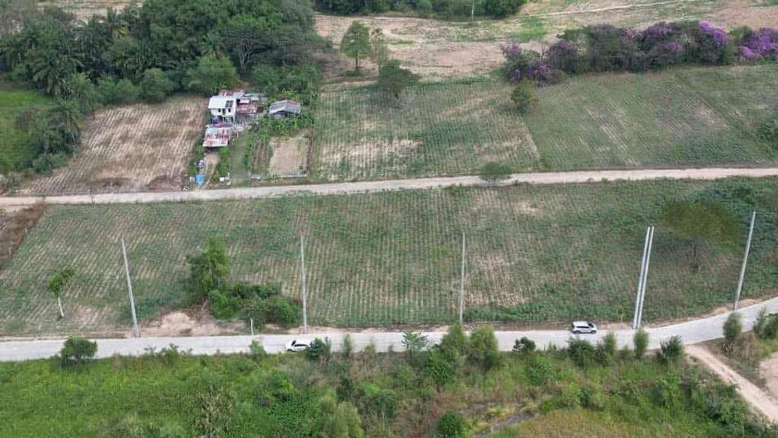 ที่ดิน ต.บ่อวิน อ.ศรีราชา จ.ชลบุรี / 3 งาน 99 ตร.วา (ขาย), Land in Bo Win Subdistrict, Si Racha District, Chonburi Province. / 99 Square Wa (FOR SALE) NANN010
