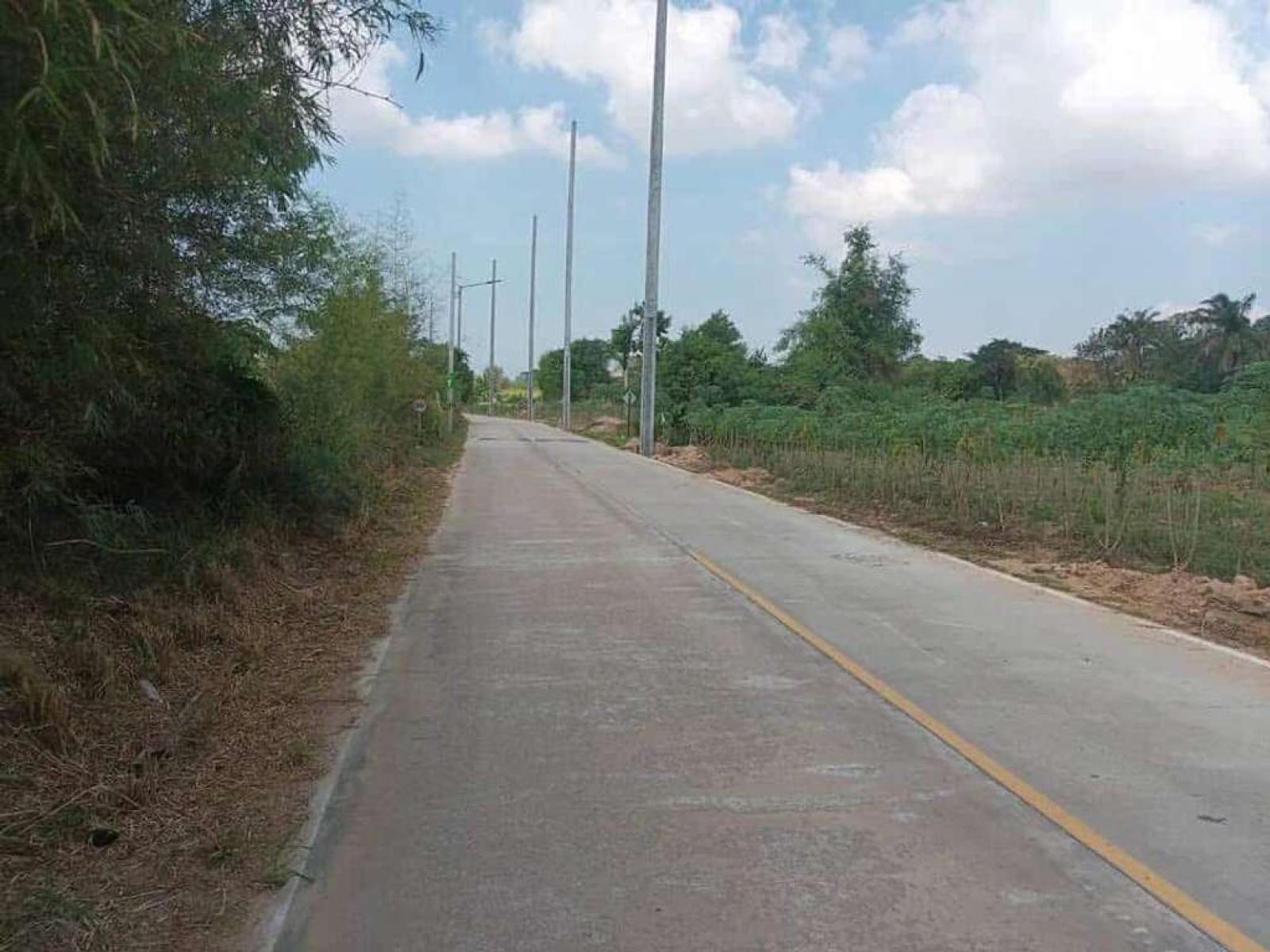 ที่ดิน ต.บ่อวิน อ.ศรีราชา จ.ชลบุรี / 3 งาน 99 ตร.วา (ขาย), Land in Bo Win Subdistrict, Si Racha District, Chonburi Province. / 99 Square Wa (FOR SALE) NANN010