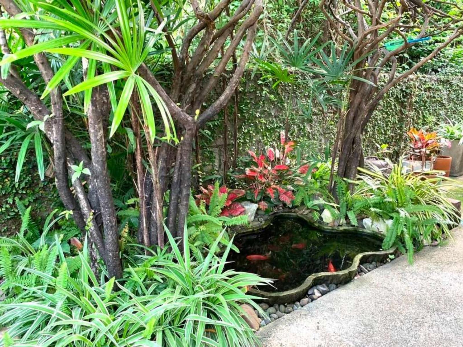 บ้าน สัมมากร รามคำแหง / 4 ห้องนอน (ขาย), Baan Sammakorn Ramkamhang / 4 Bedrooms (FOR SALE) GRET030