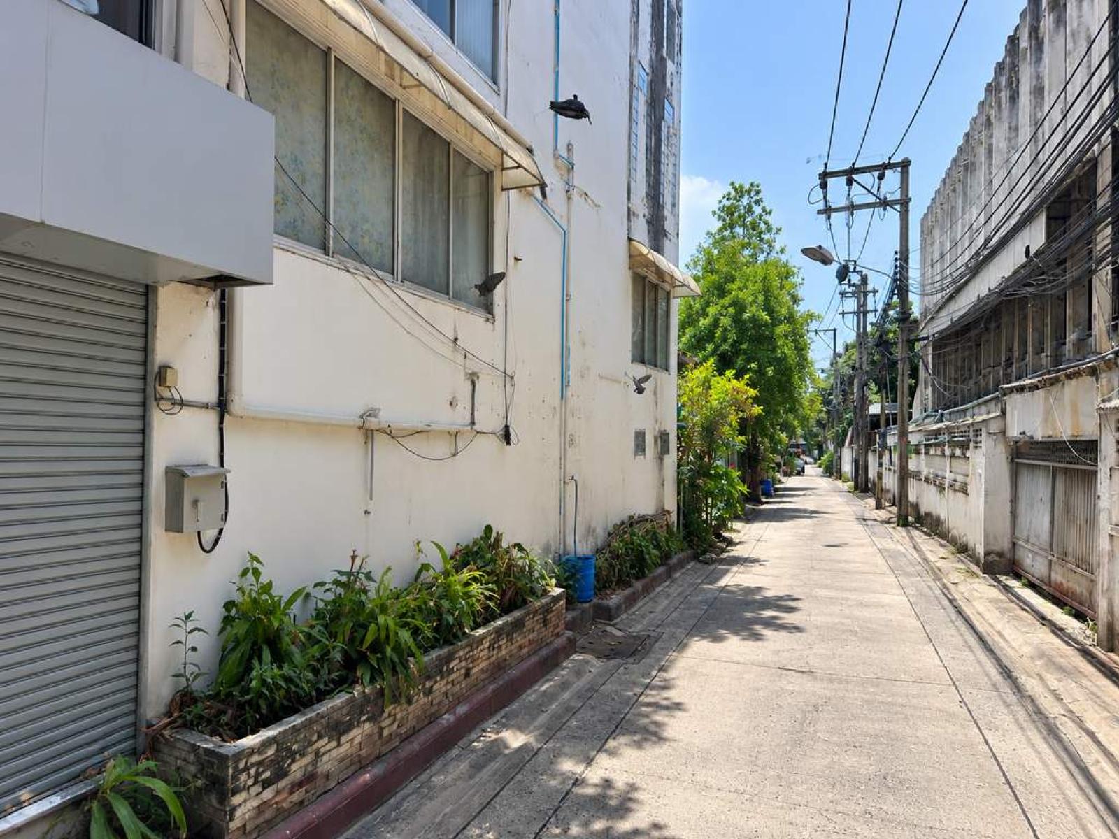 ที่ดิน พร้อมสิ่งปลูกสร้าง ซ. ลาดพร้าว 82 / 256 ตร.วา (ขาย), Land with buildings, Soi Lat Phrao 82 / 256 Square Wa (FOR SALE) PALR033