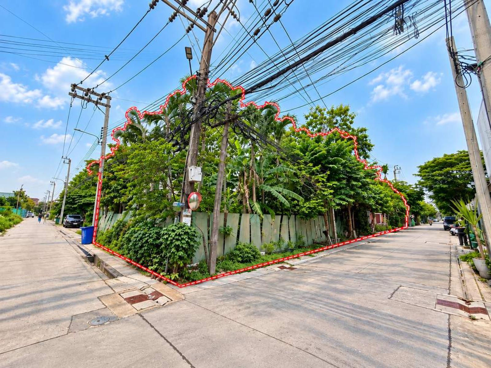ที่ดินเปล่า นาคนิวาส 48 แยก 14 / 112 ตร.วา (ขาย), Vacant land, Nak Niwas 48, Soi 14. / 112 Square Wa (FOR SALE) PALR047