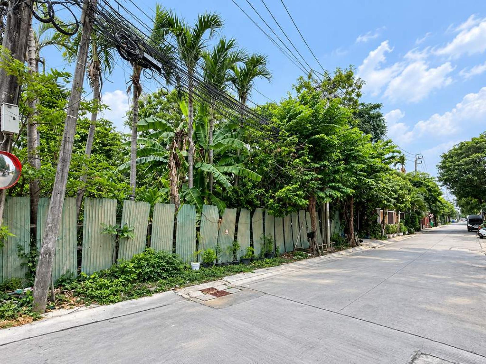 ที่ดินเปล่า นาคนิวาส 48 แยก 14 / 112 ตร.วา (ขาย), Vacant land, Nak Niwas 48, Soi 14. / 112 Square Wa (FOR SALE) PALR047