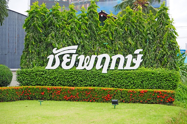 banner-project-details